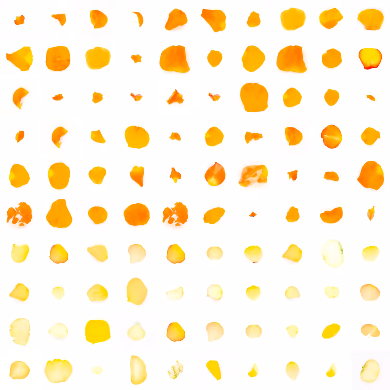 Infinite Petals 10x10#1953