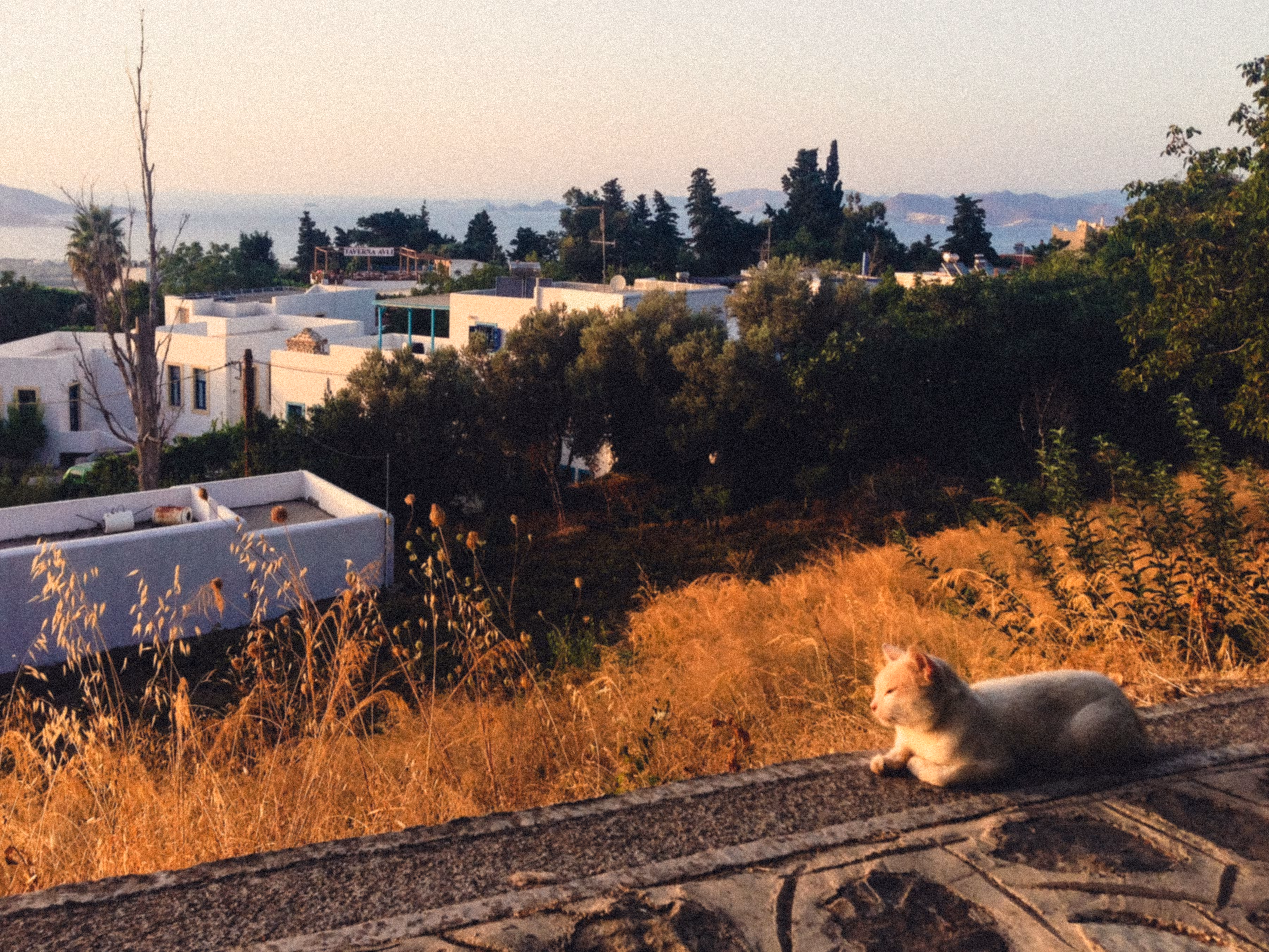 Sunset on Ζία