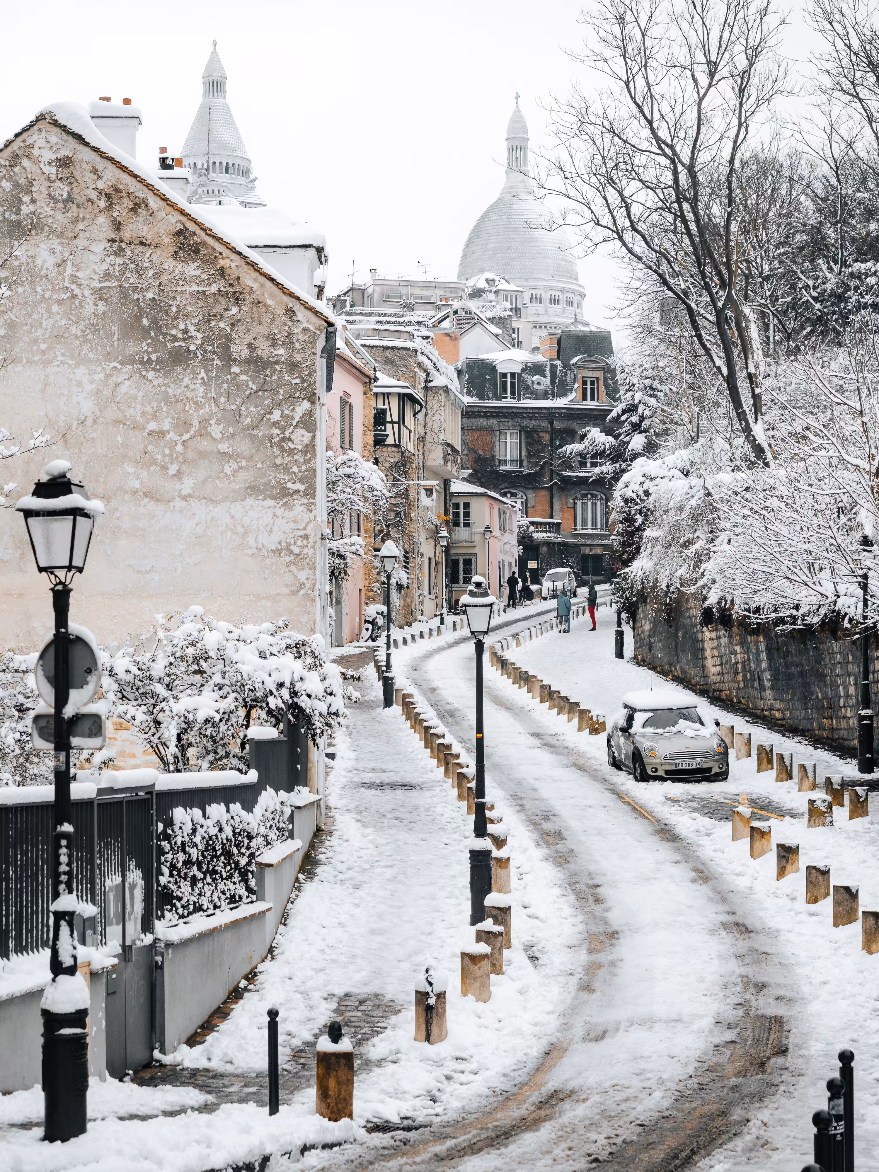 Black & White Ladies: Snowy Road