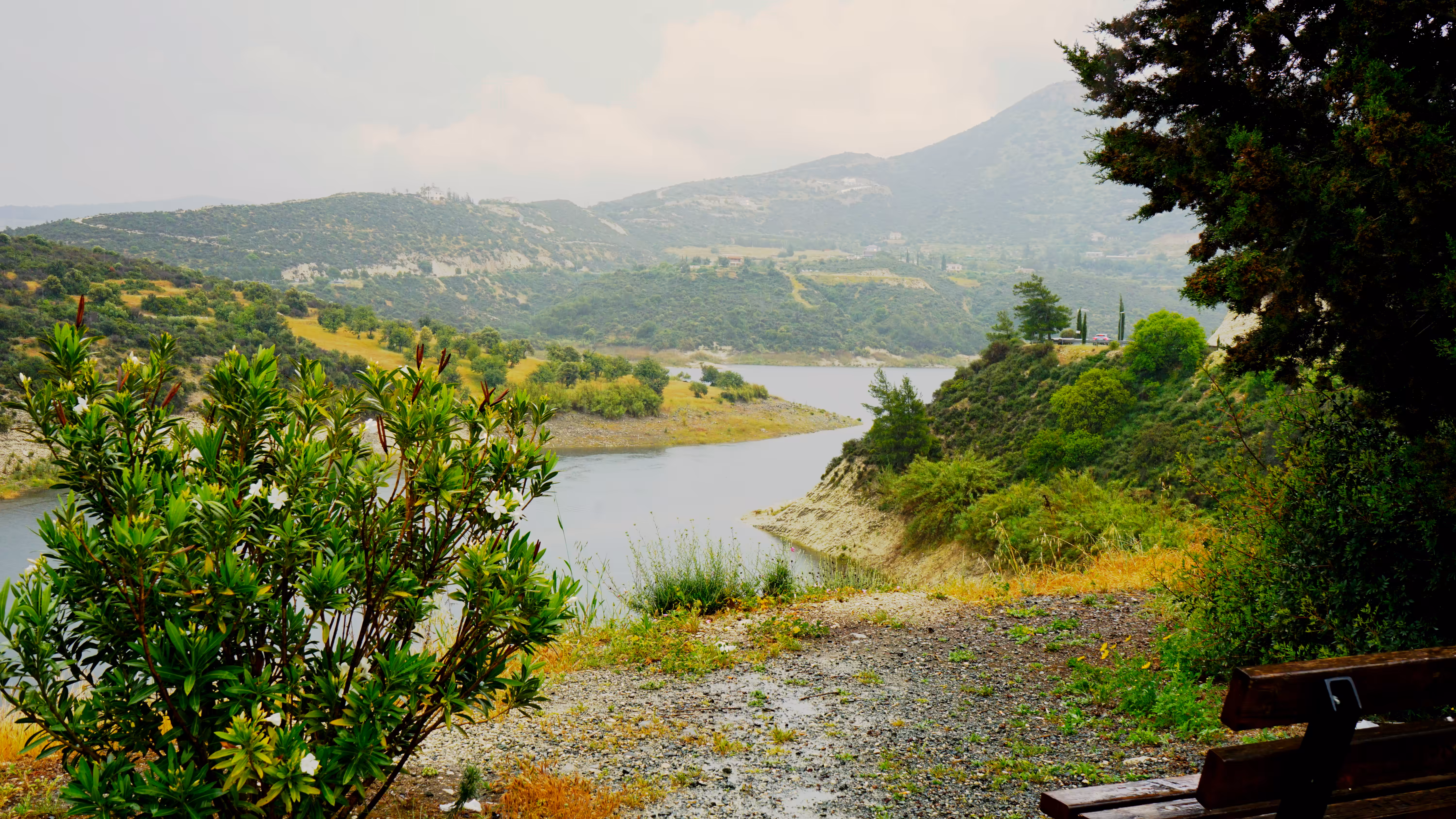 View of the  River