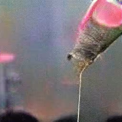 Punk Soda