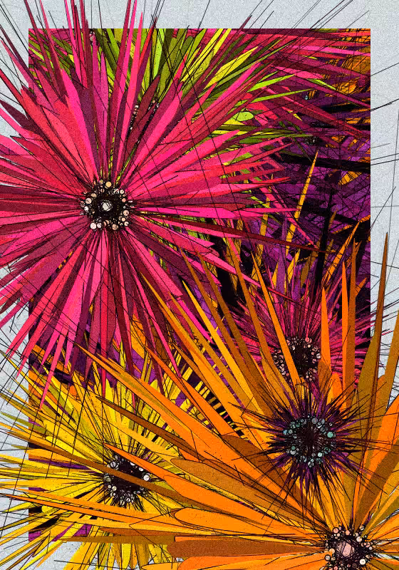 Love & Wild #10
