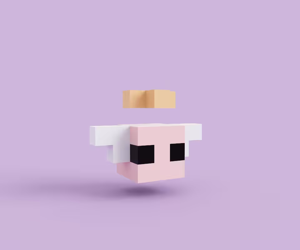 Killtti
