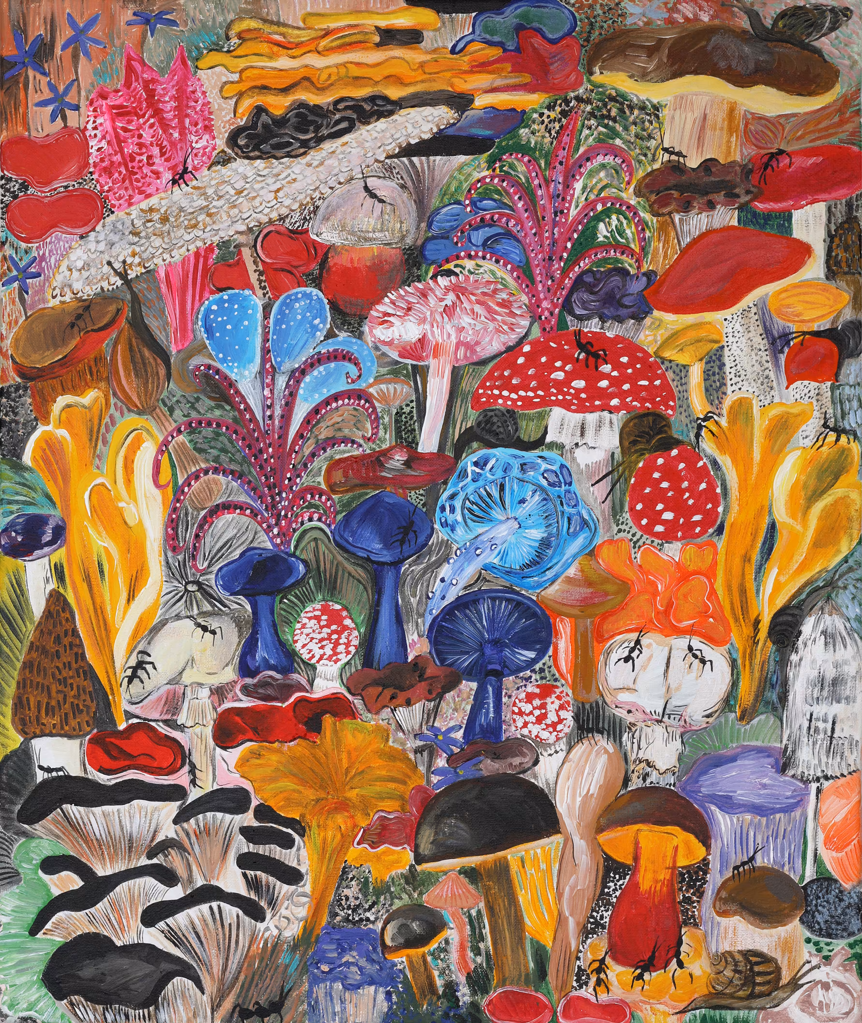 Magic Mushrooms