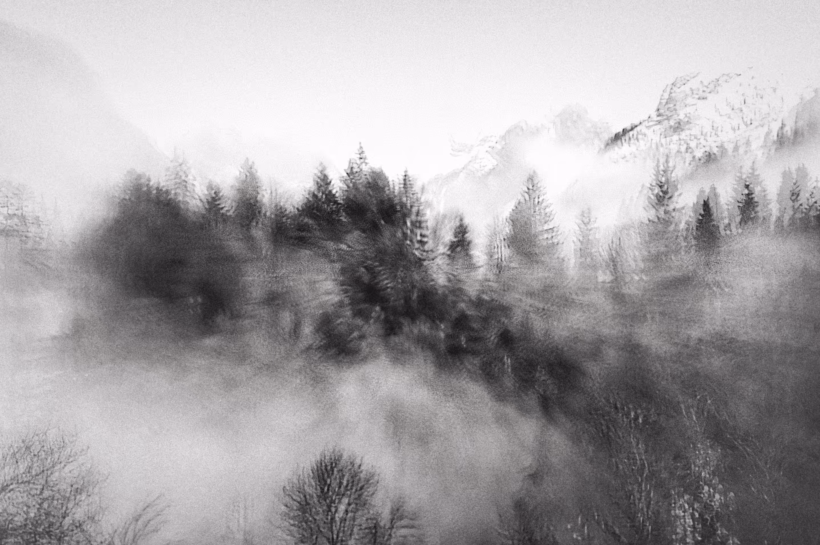 Flying into the morning