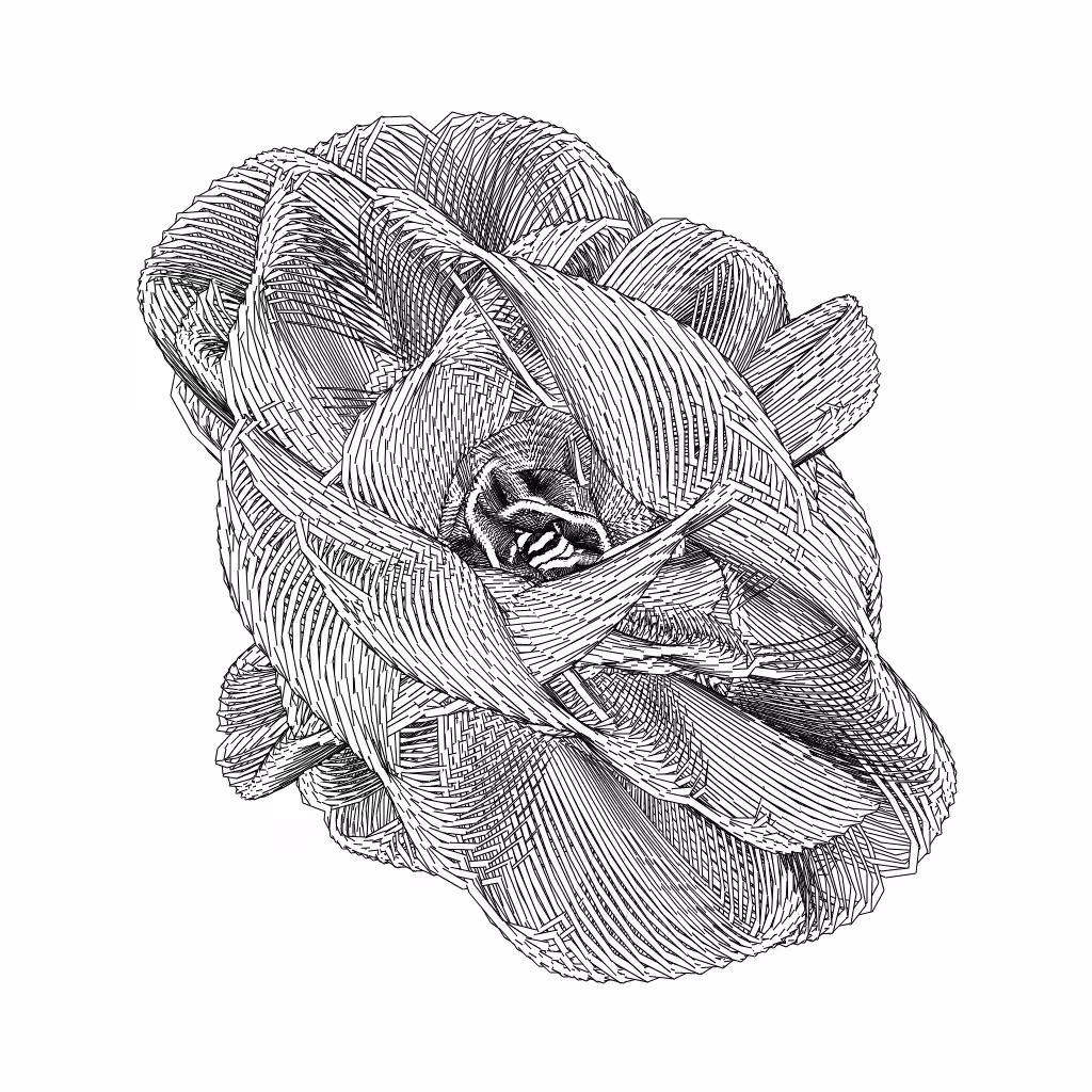 LL21 Entangled (3) #304