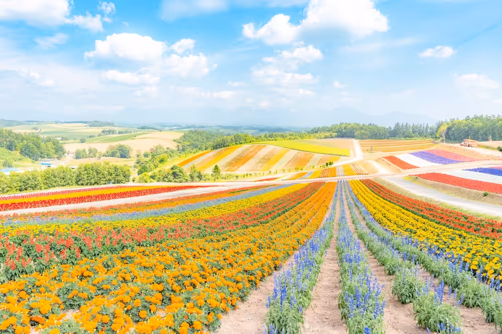 Dreamy Flower Garden