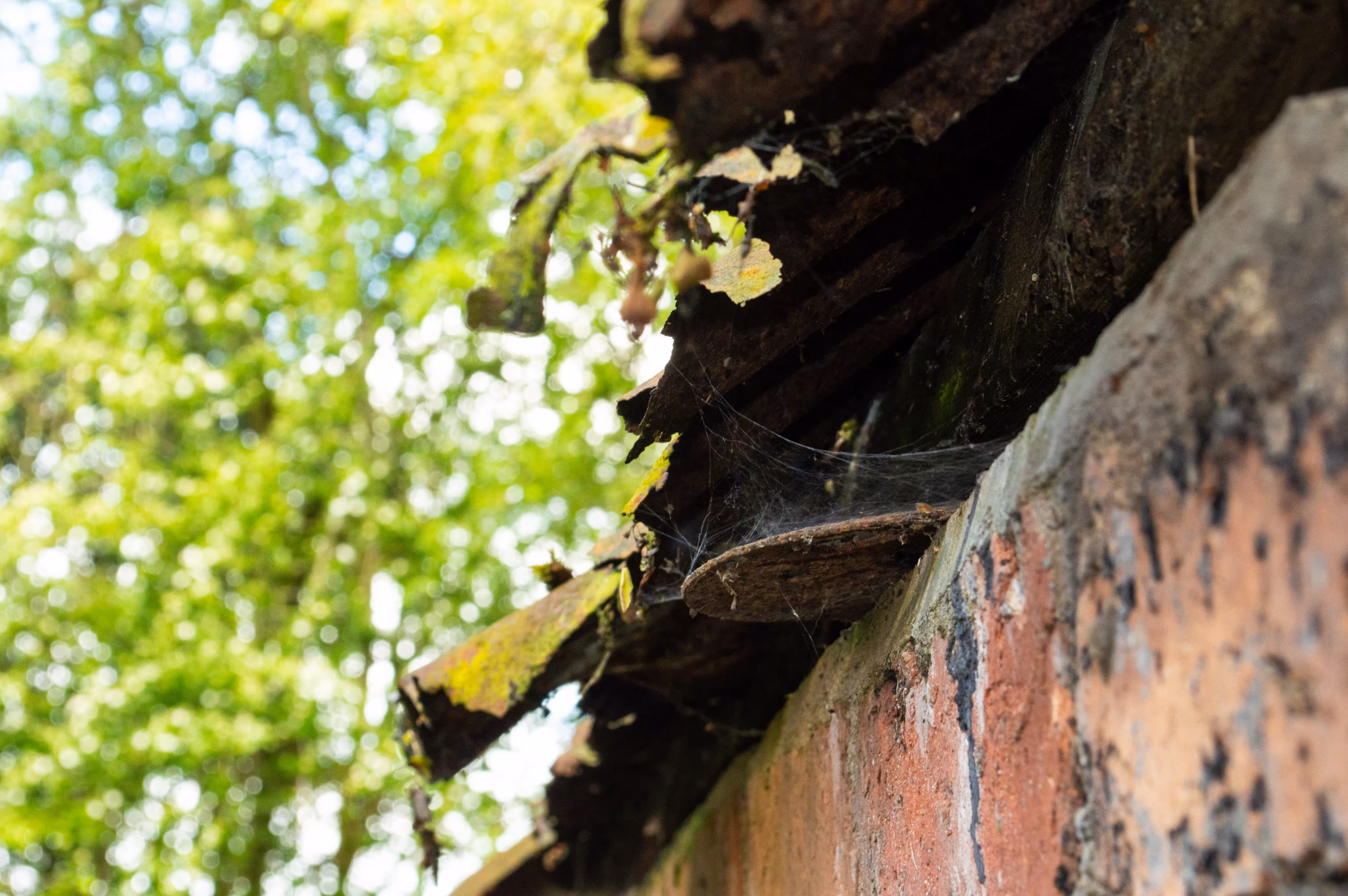 clinging on