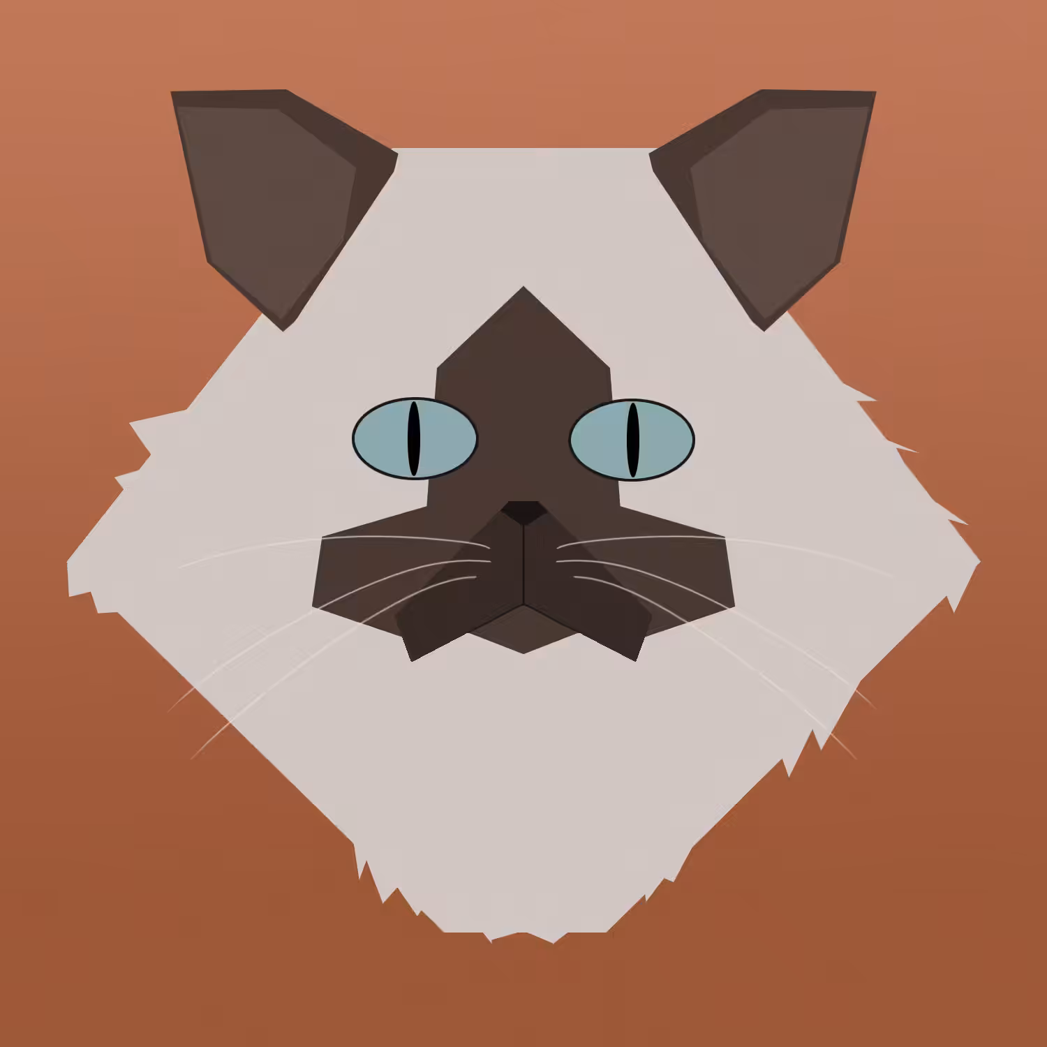 kitty #18 - himalayan