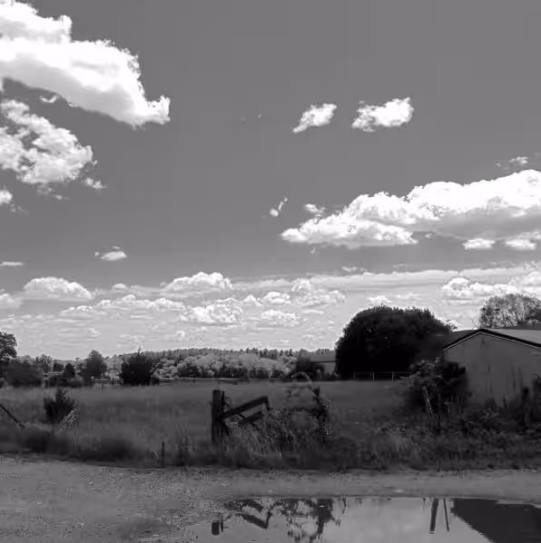 Monovision