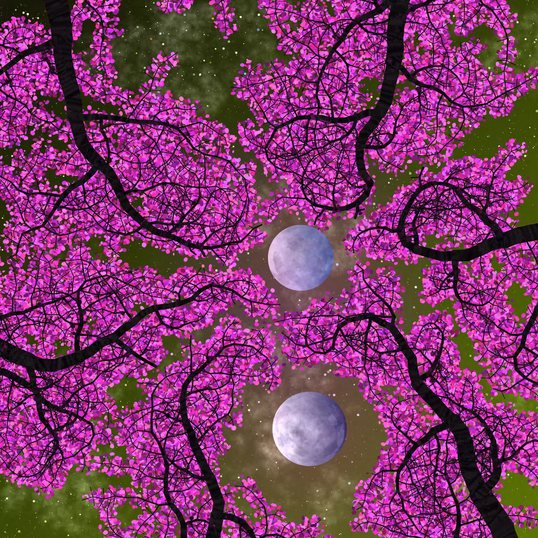 Tree Skyness #120