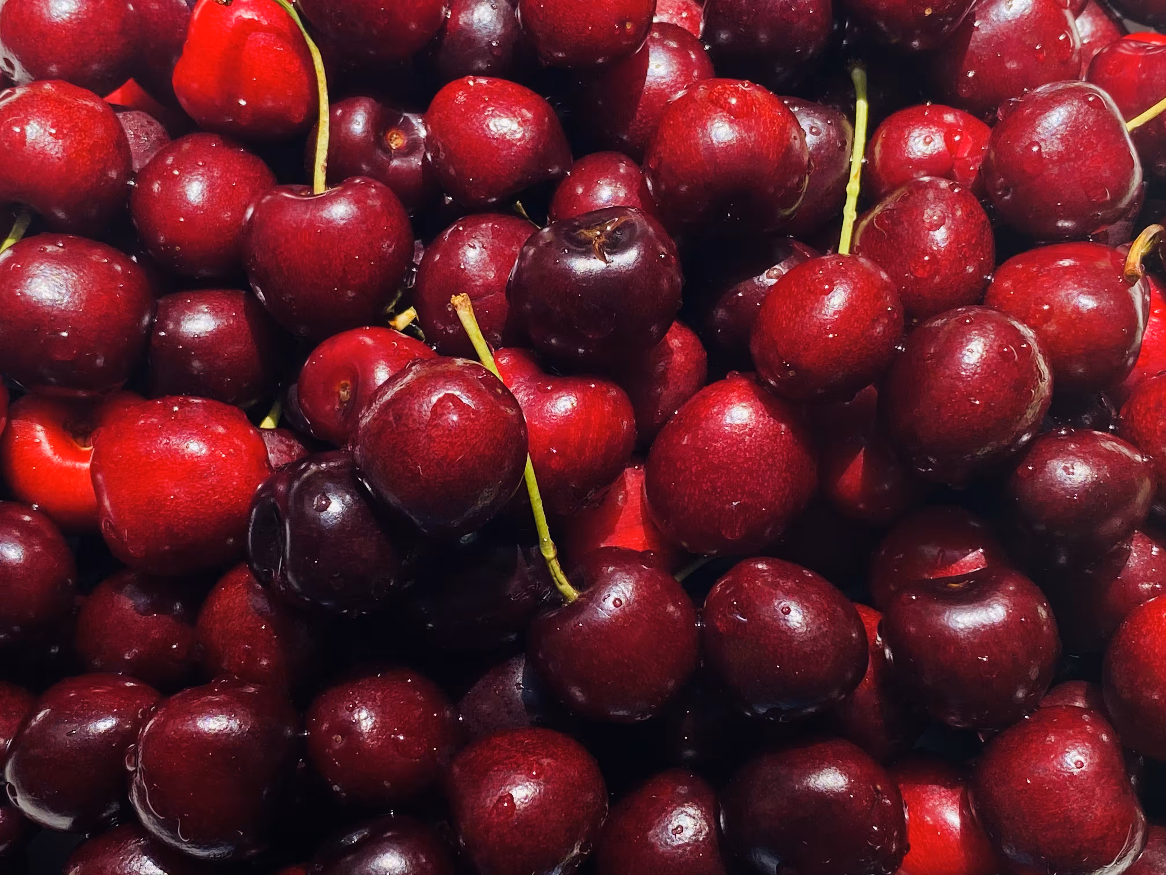 Cherries, 2020
