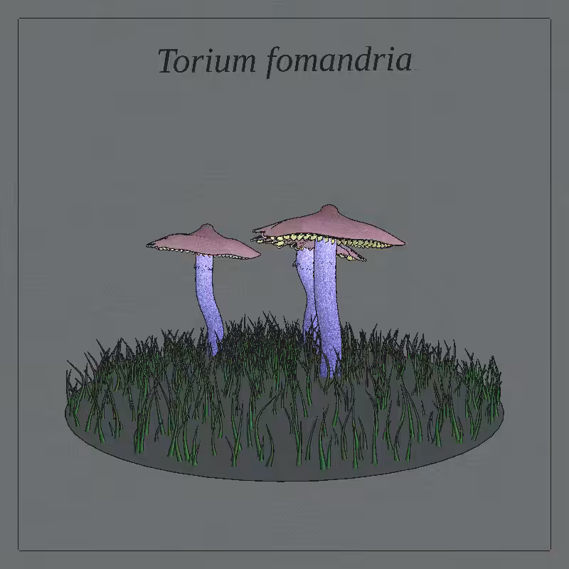 SHROOMS 3D #3
