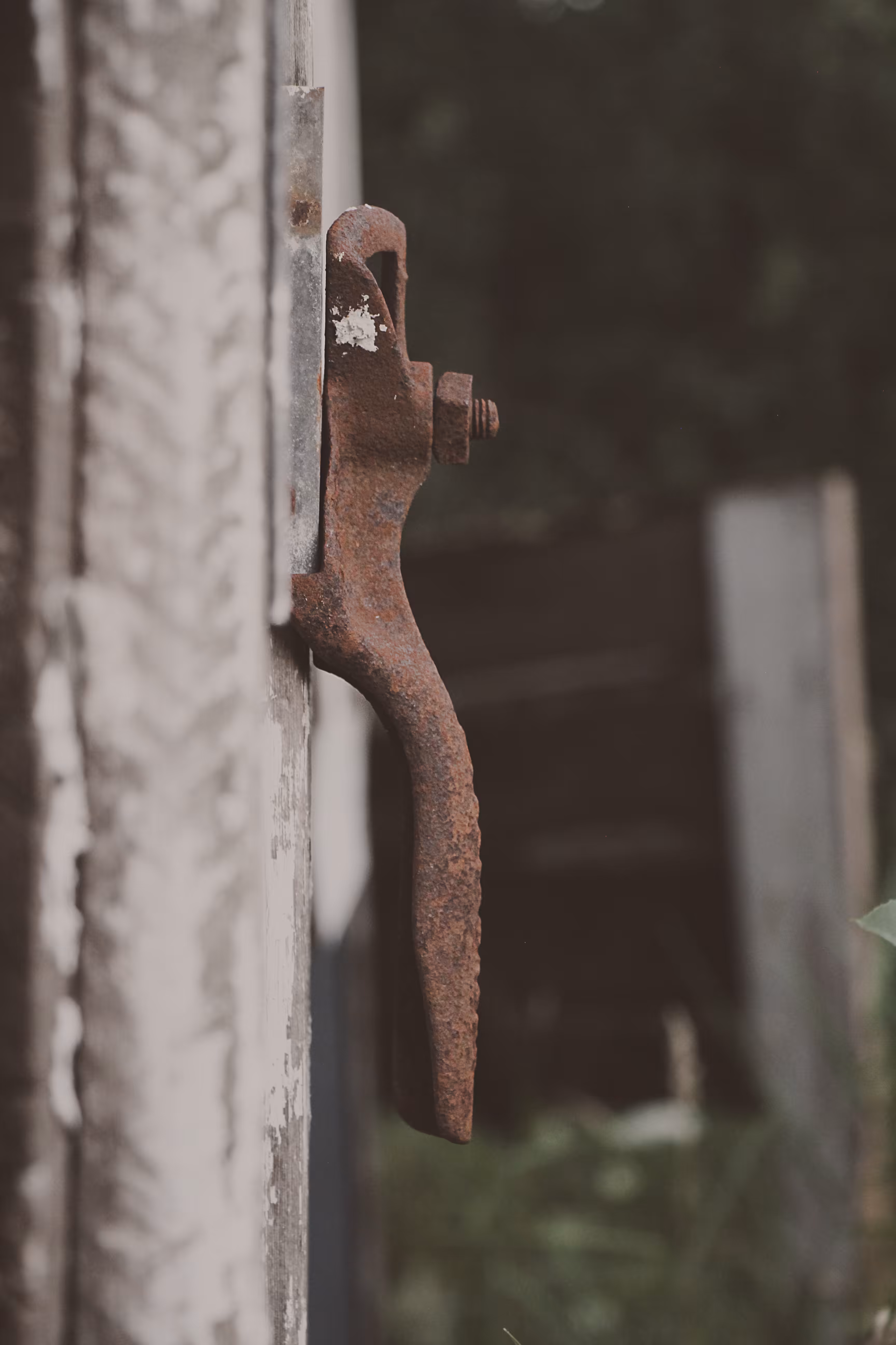 _apologies