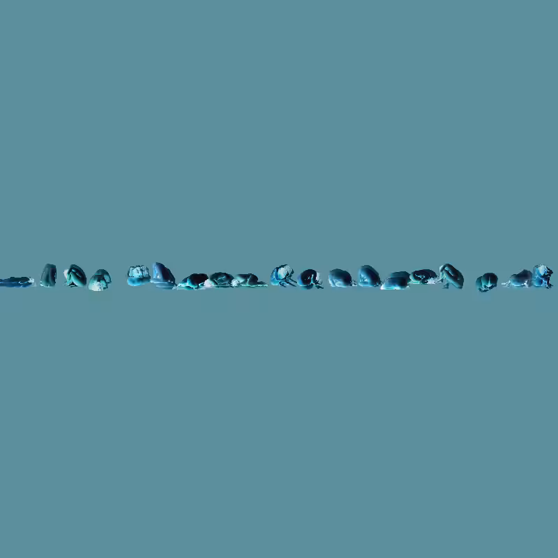 body landscapes #49