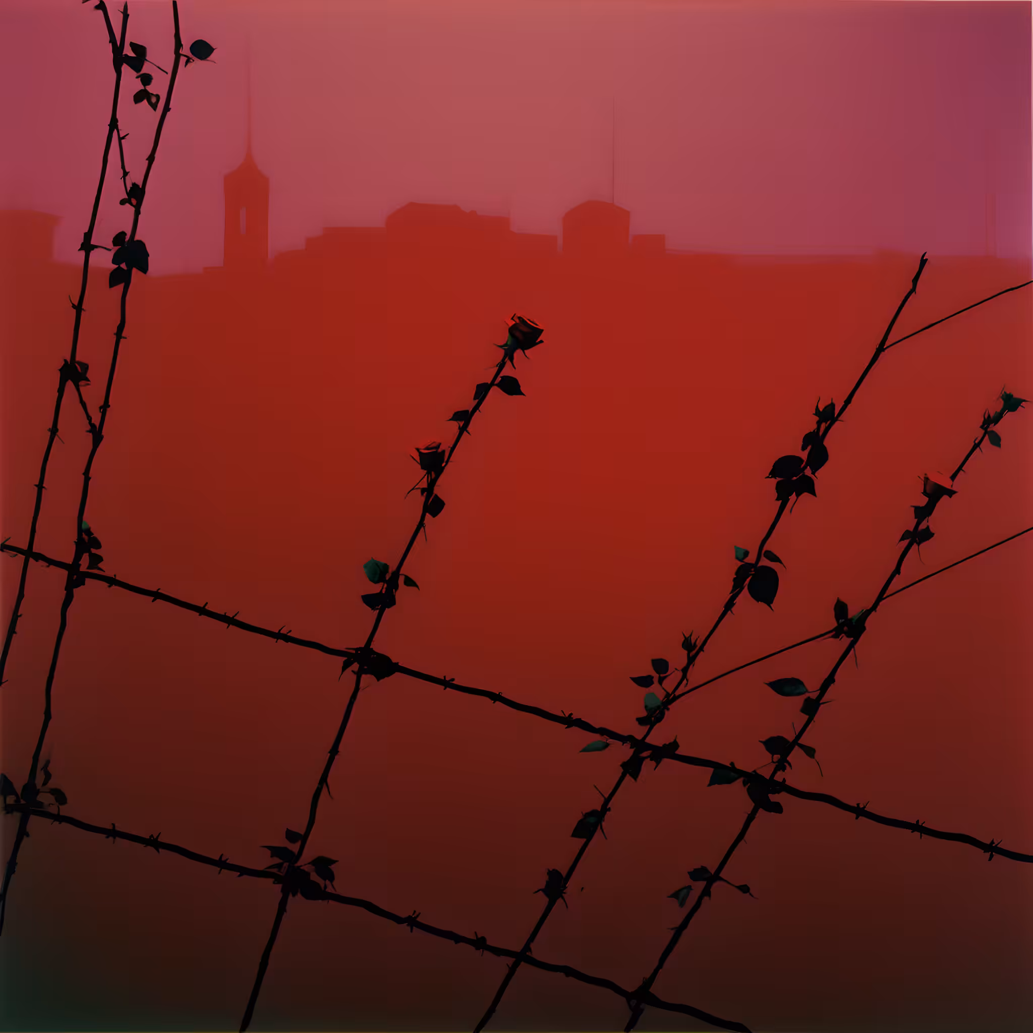 Between the hurricane and the wind #82