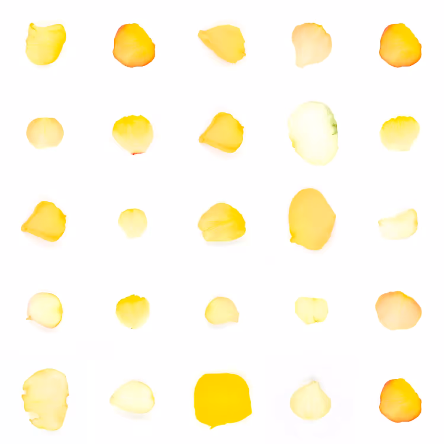 Infinite Petals 5x5#1352
