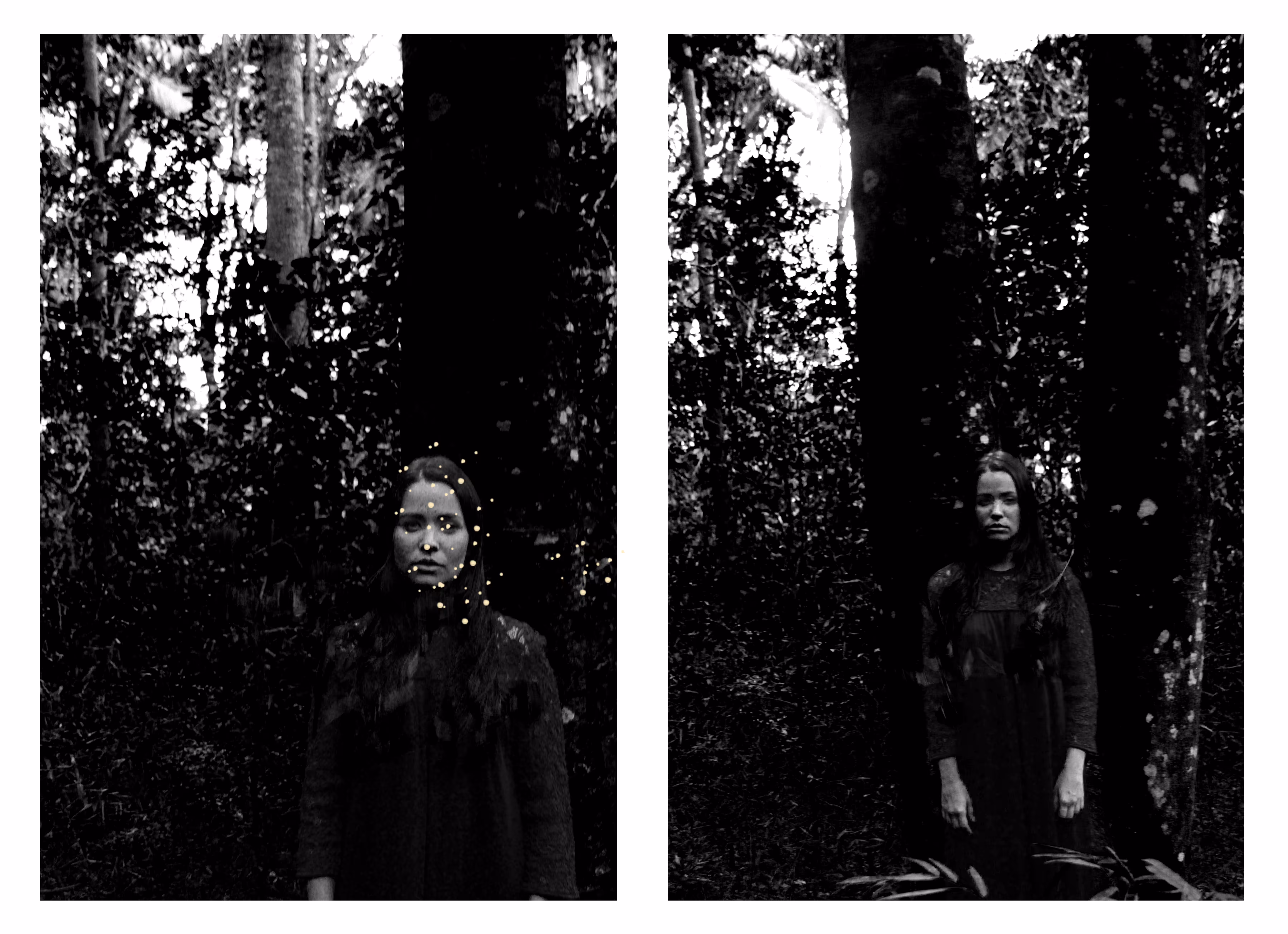 Into the forest