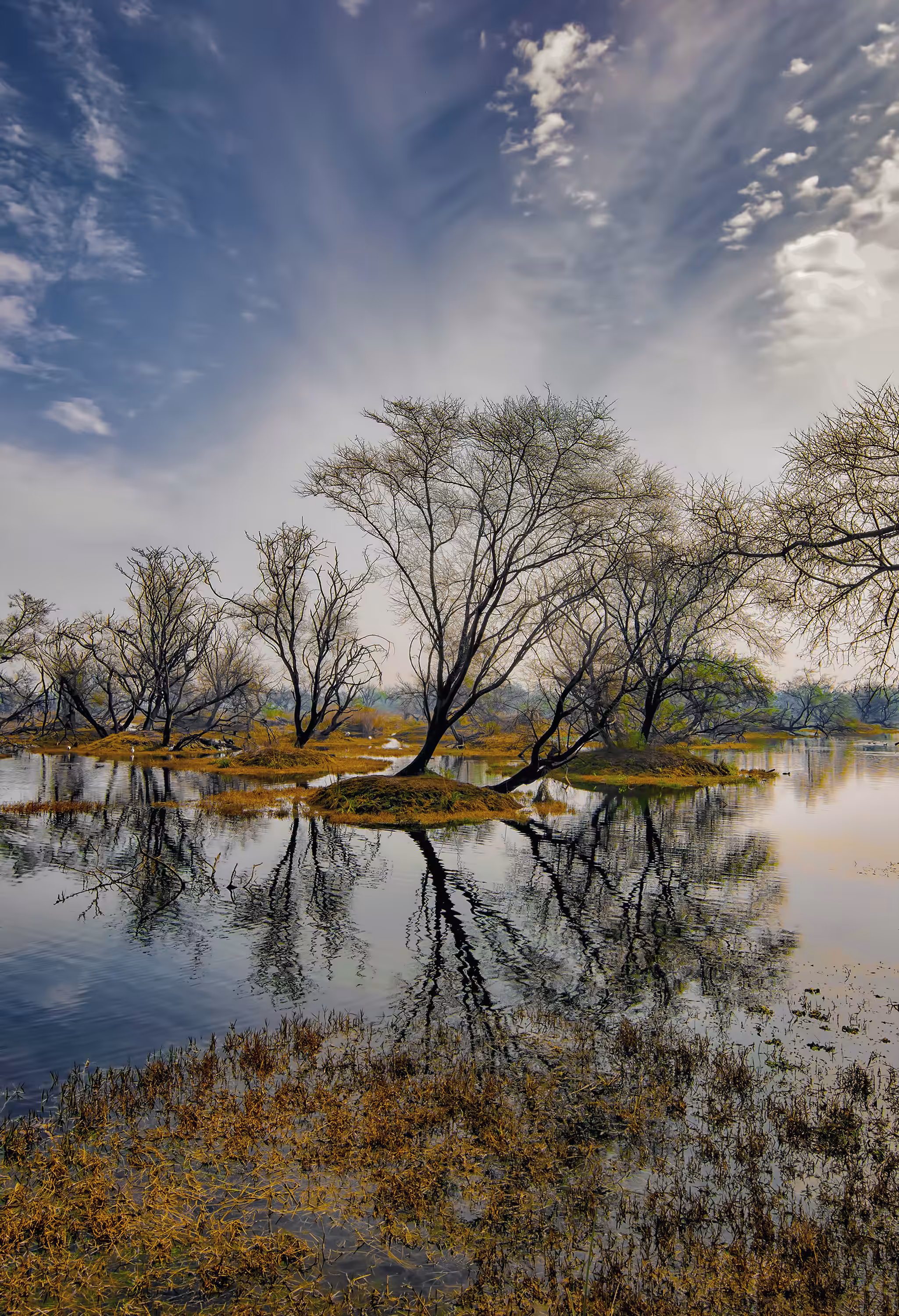Reflections 