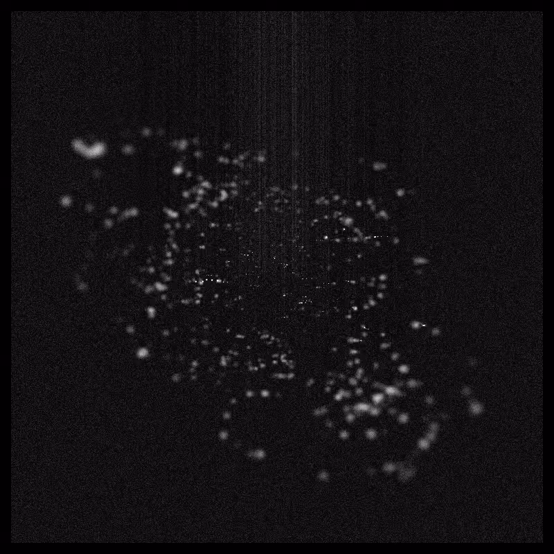 Rays & Dust #43