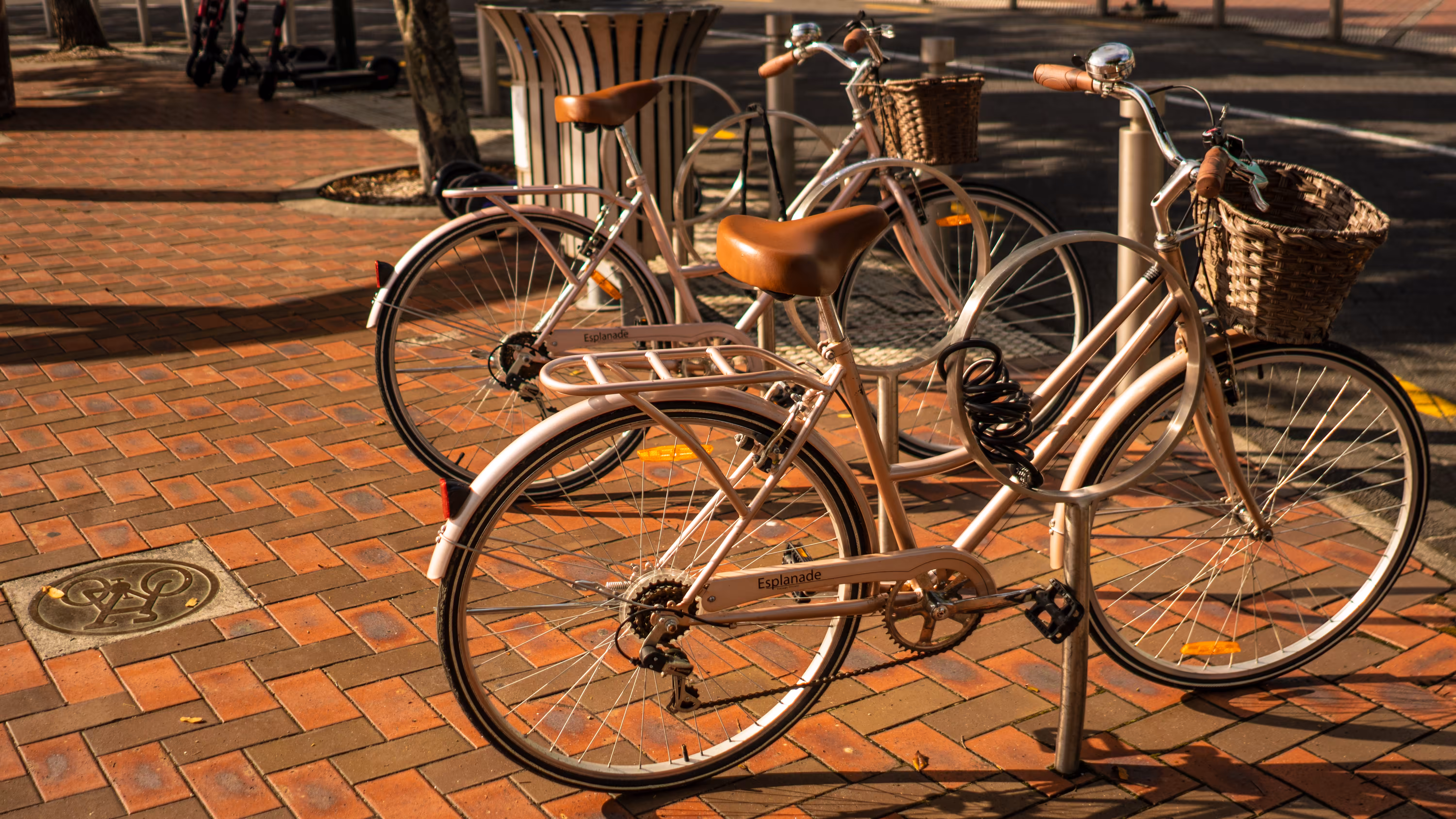 Bike lover