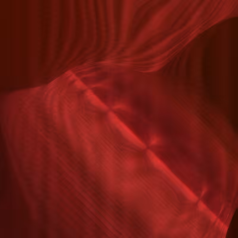 Wavvve #5