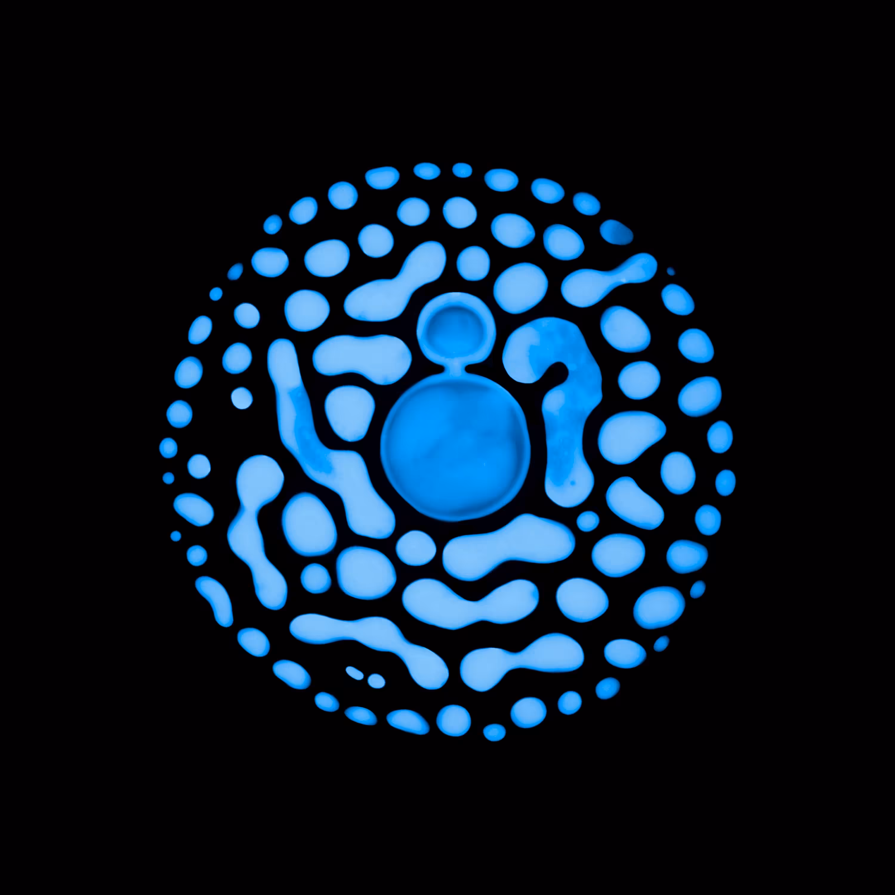 Haematopoiesis #233
