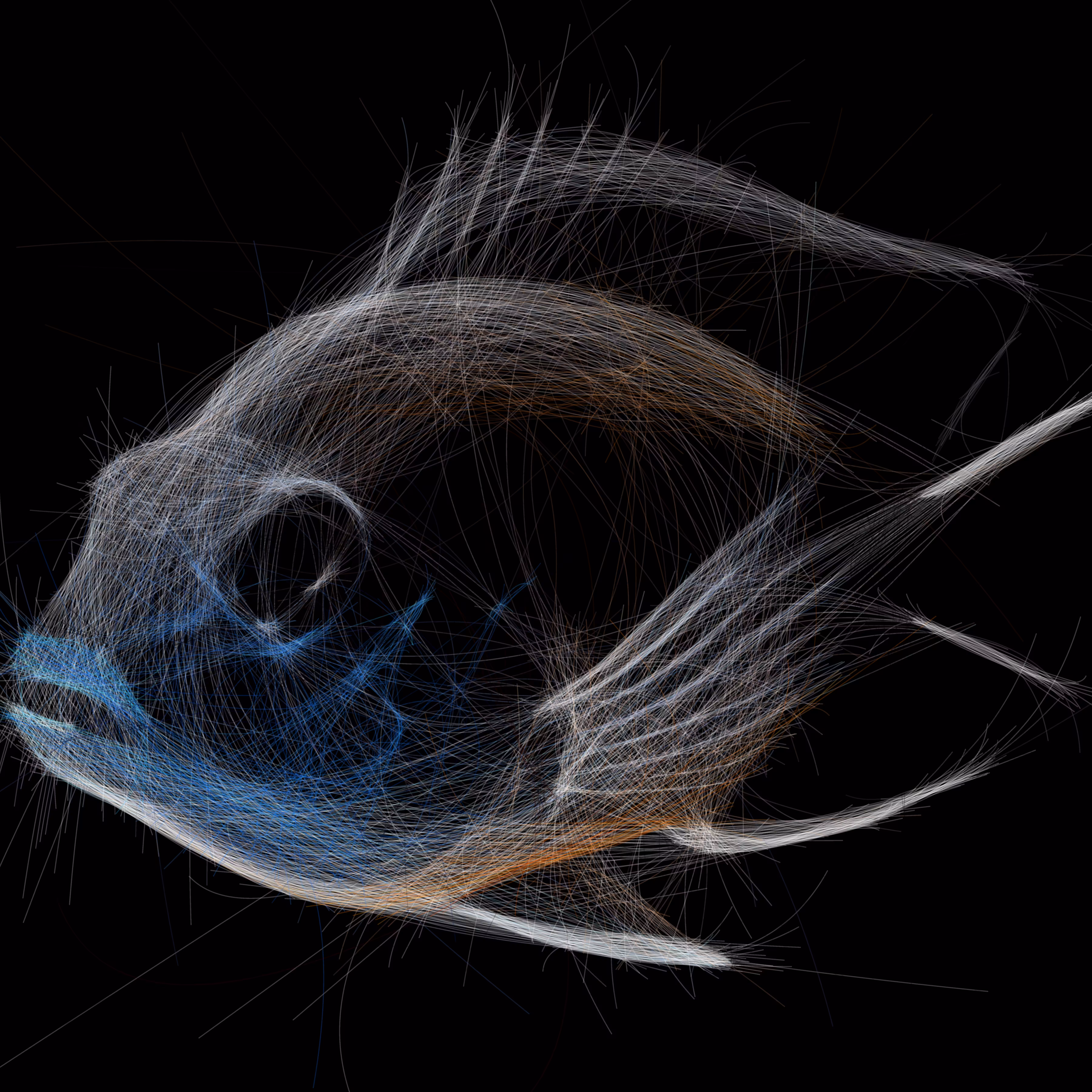 UNDERWATER: Underwater 139