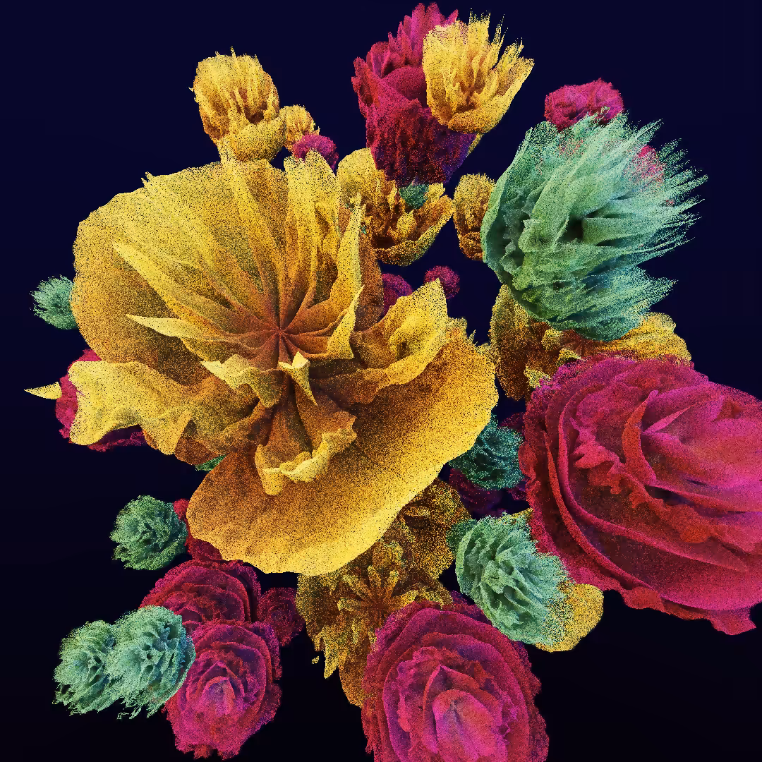 rosarium #162