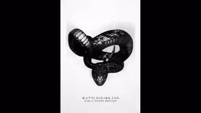 David Philip Ireland's Rattlesnake Jar Book & Album & Cover NFT Package