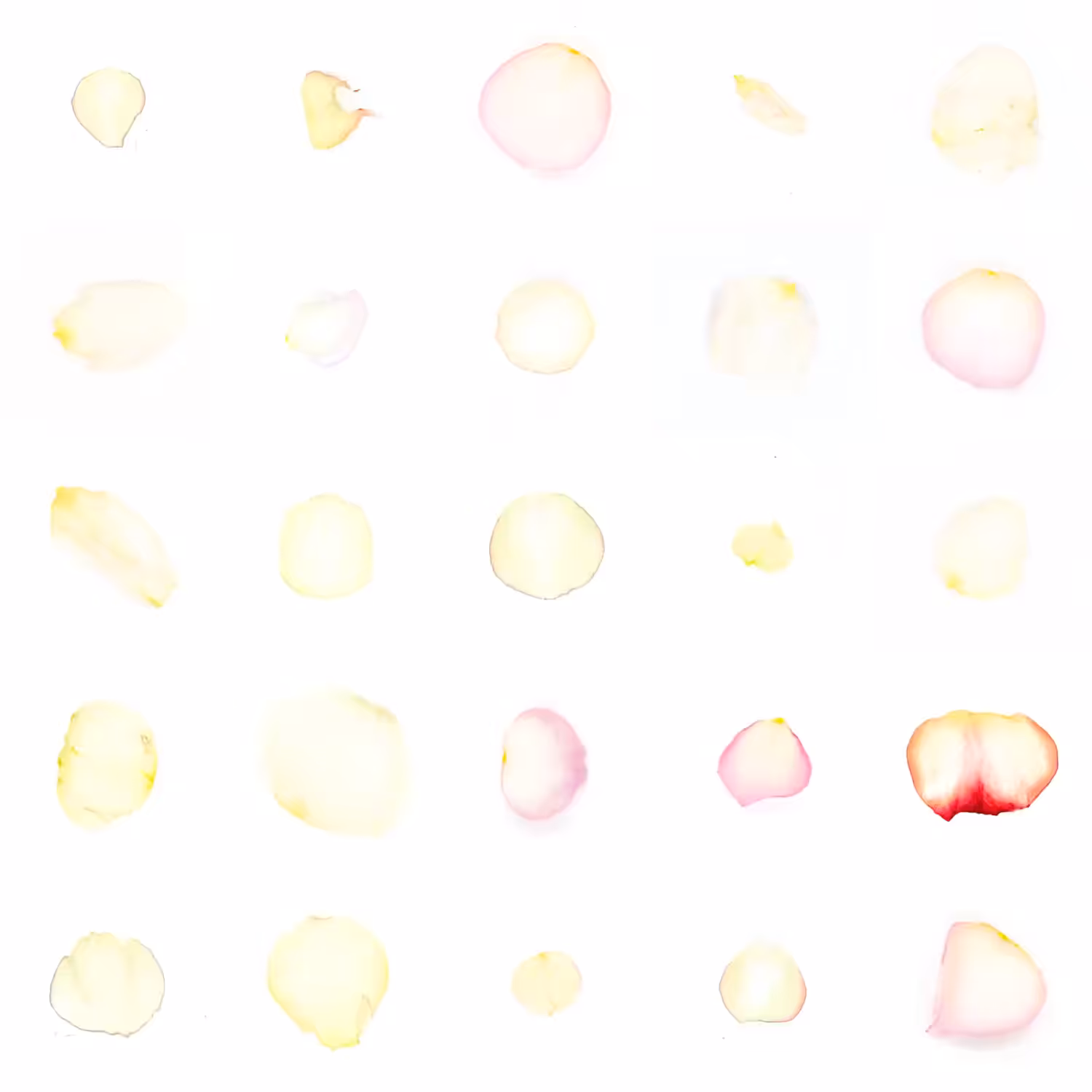 Infinite Petals 5x5#2598