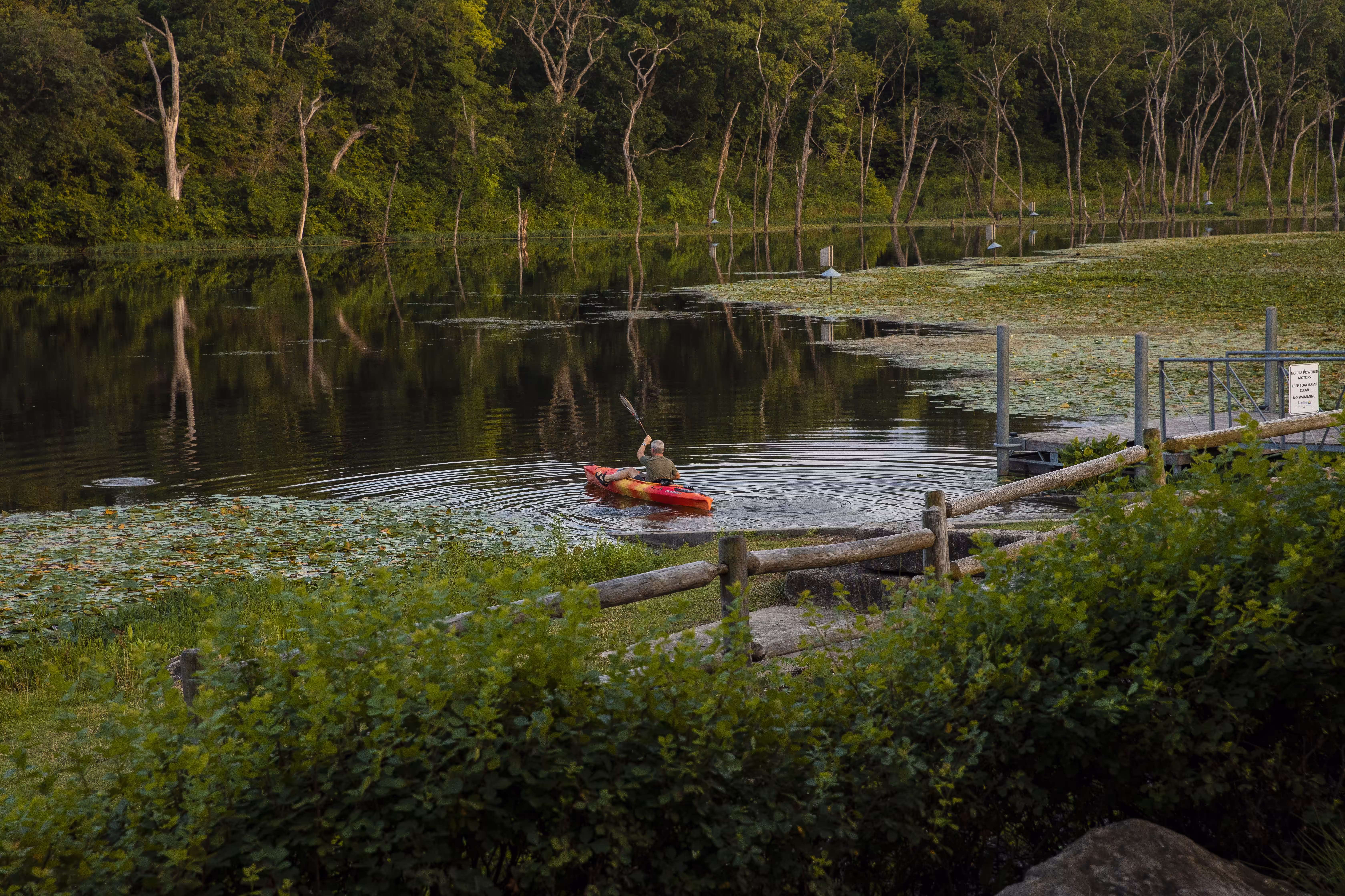 Water Solace