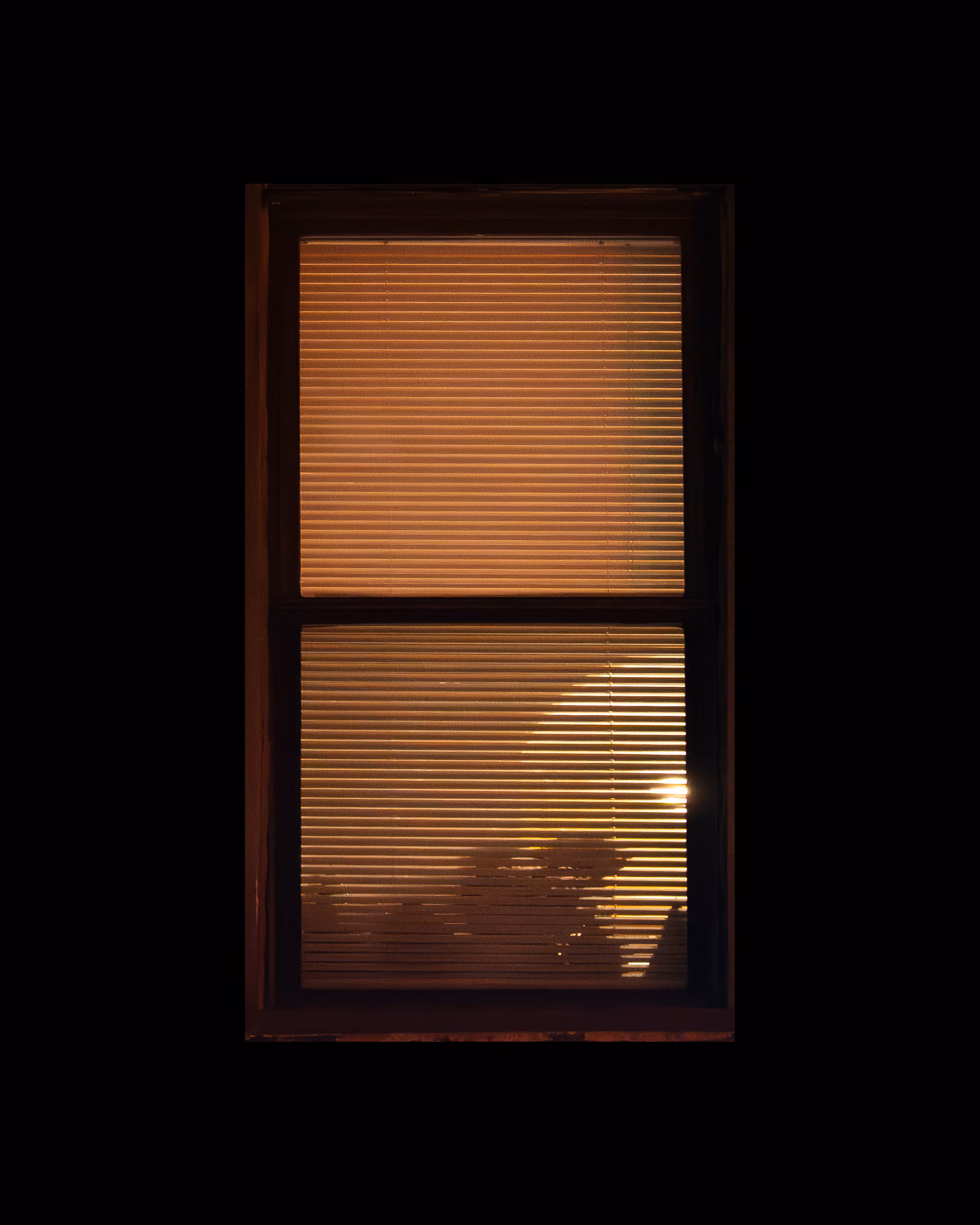 WINDOW 369