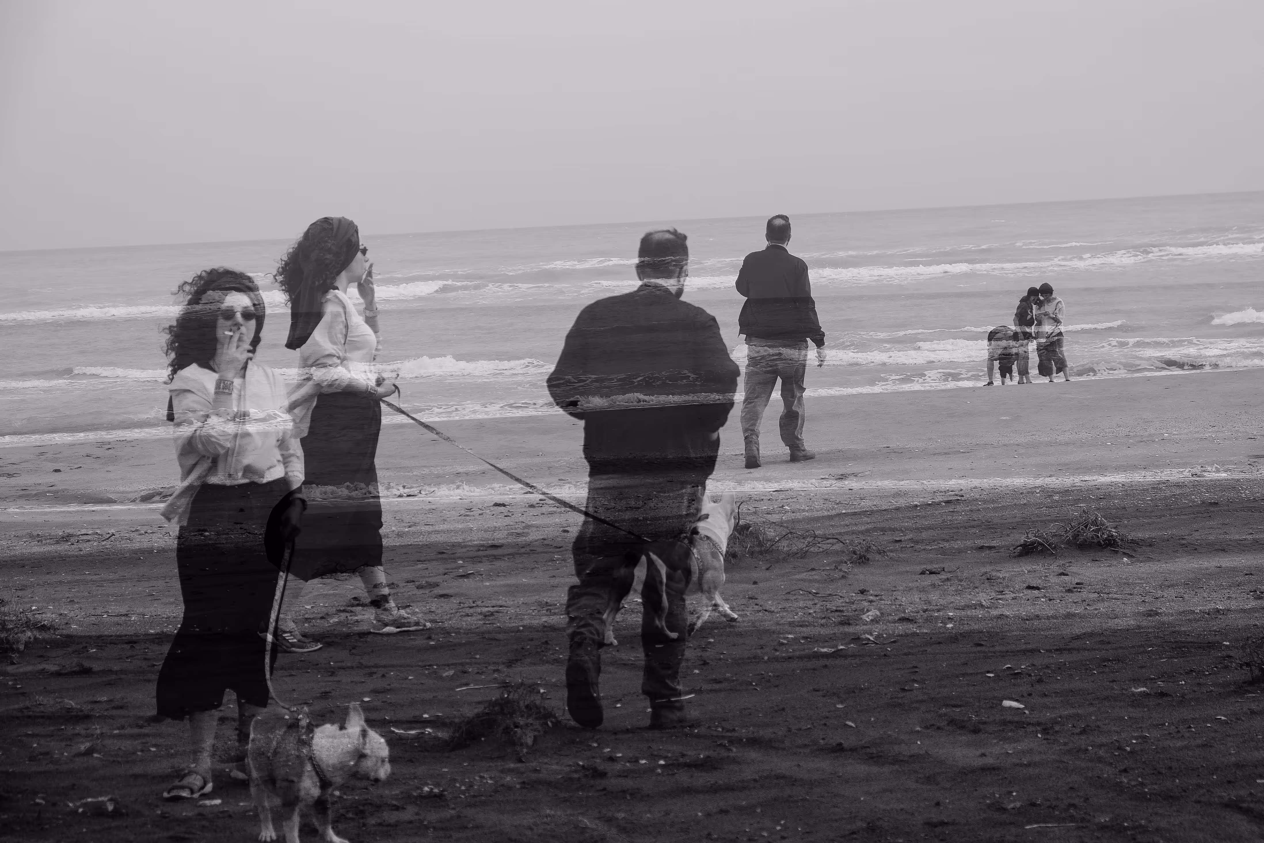 Ebb