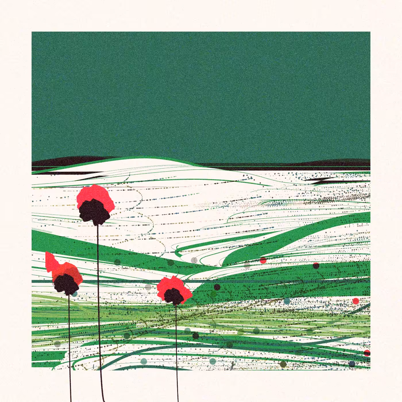 Poppies of Normandy