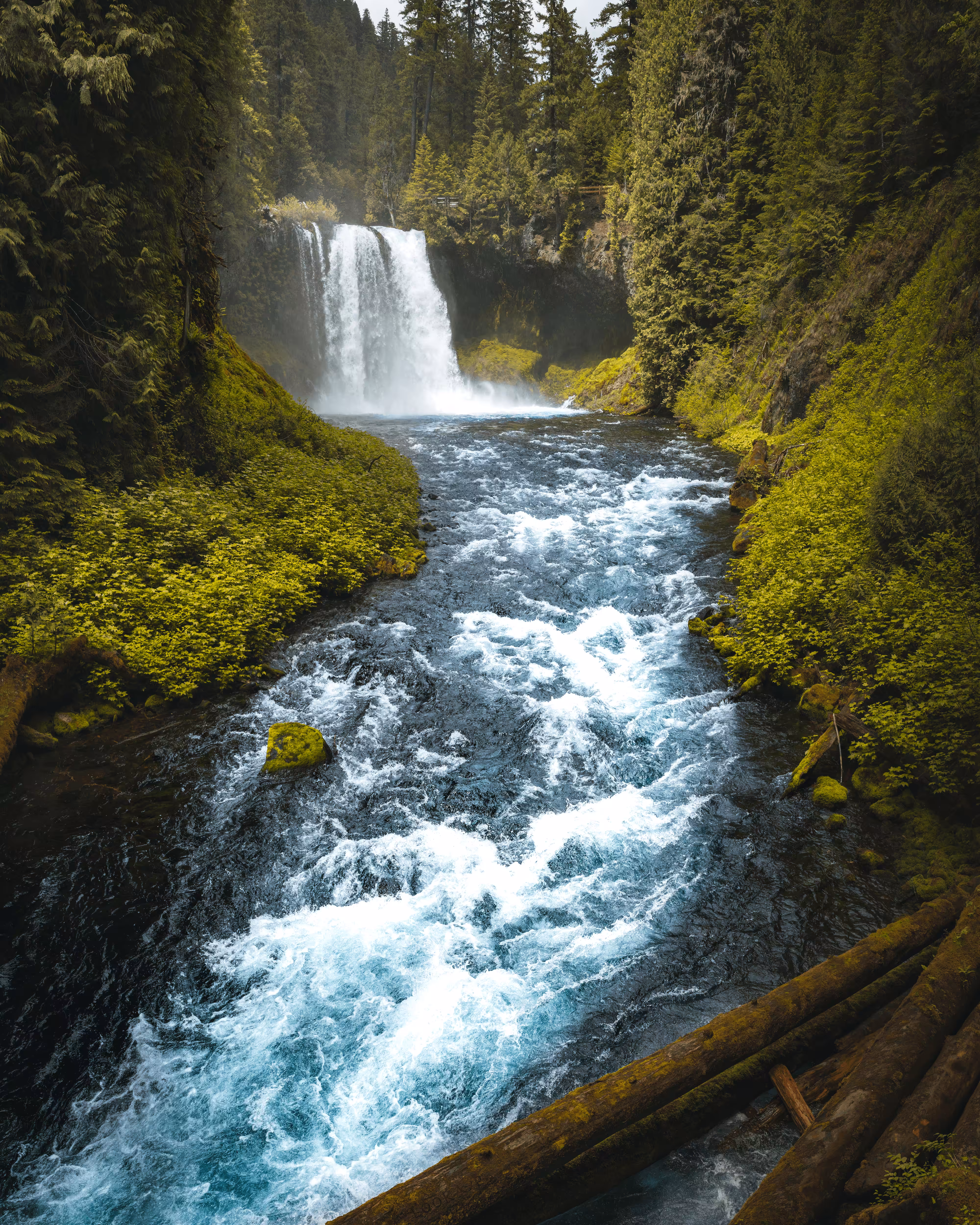 #29 - Rushing Waters