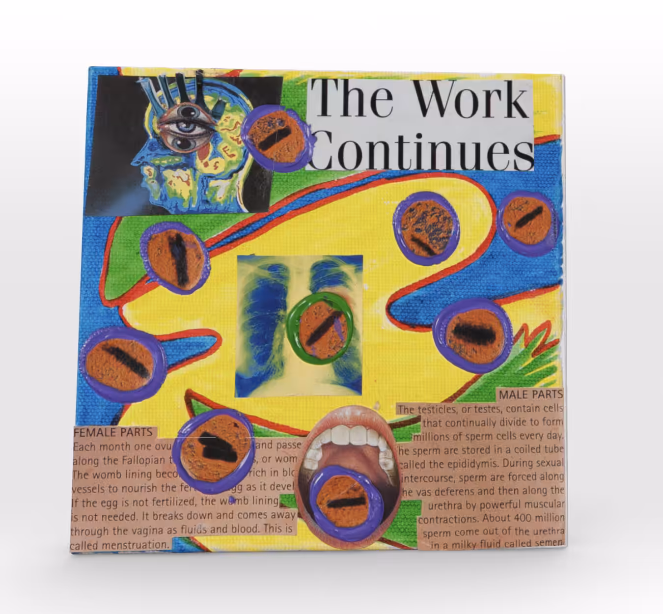 Cognition #247. The Work Continues
