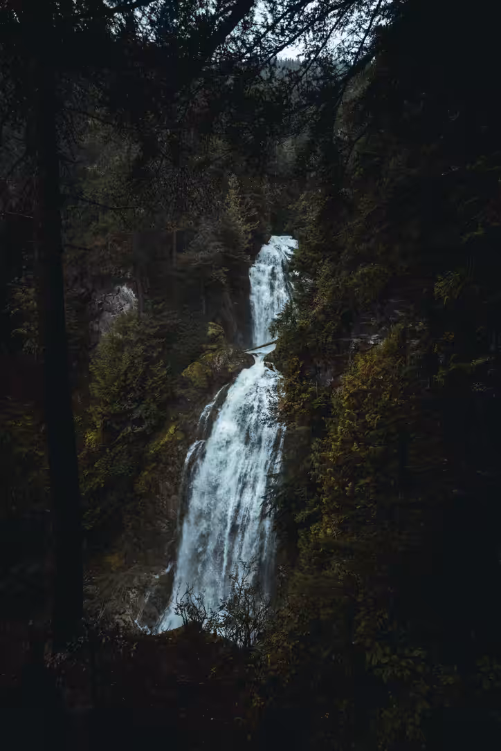 FLOW//