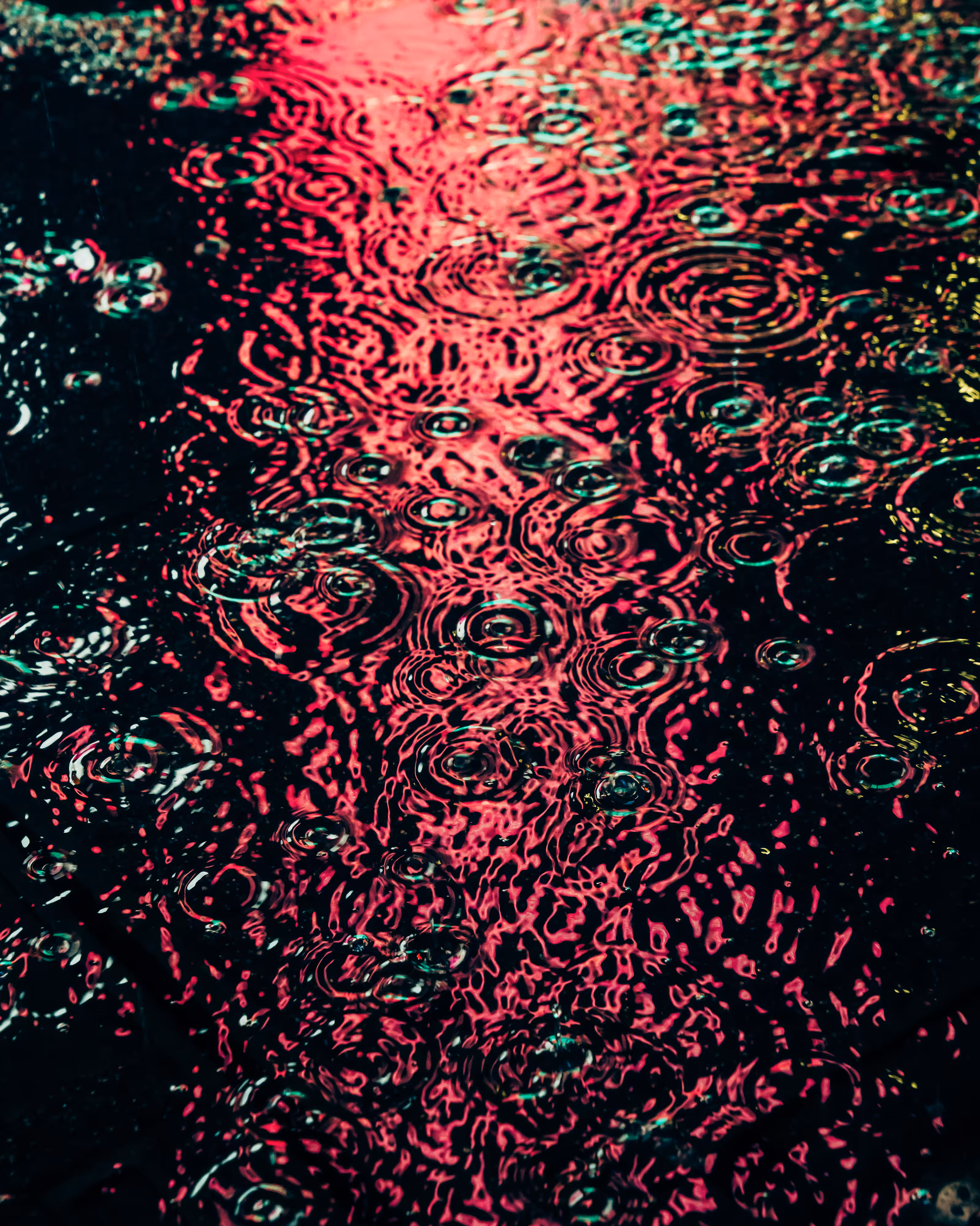 DRIP DROP: DRIP #483