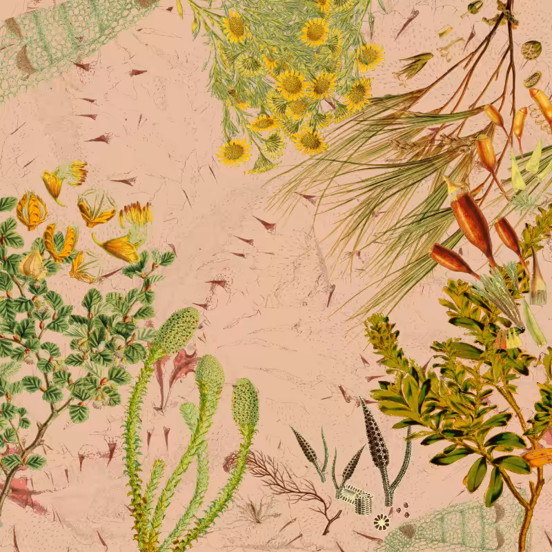 future flora from Antarctica's past #18