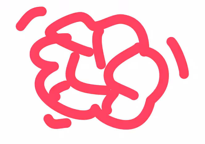 brain