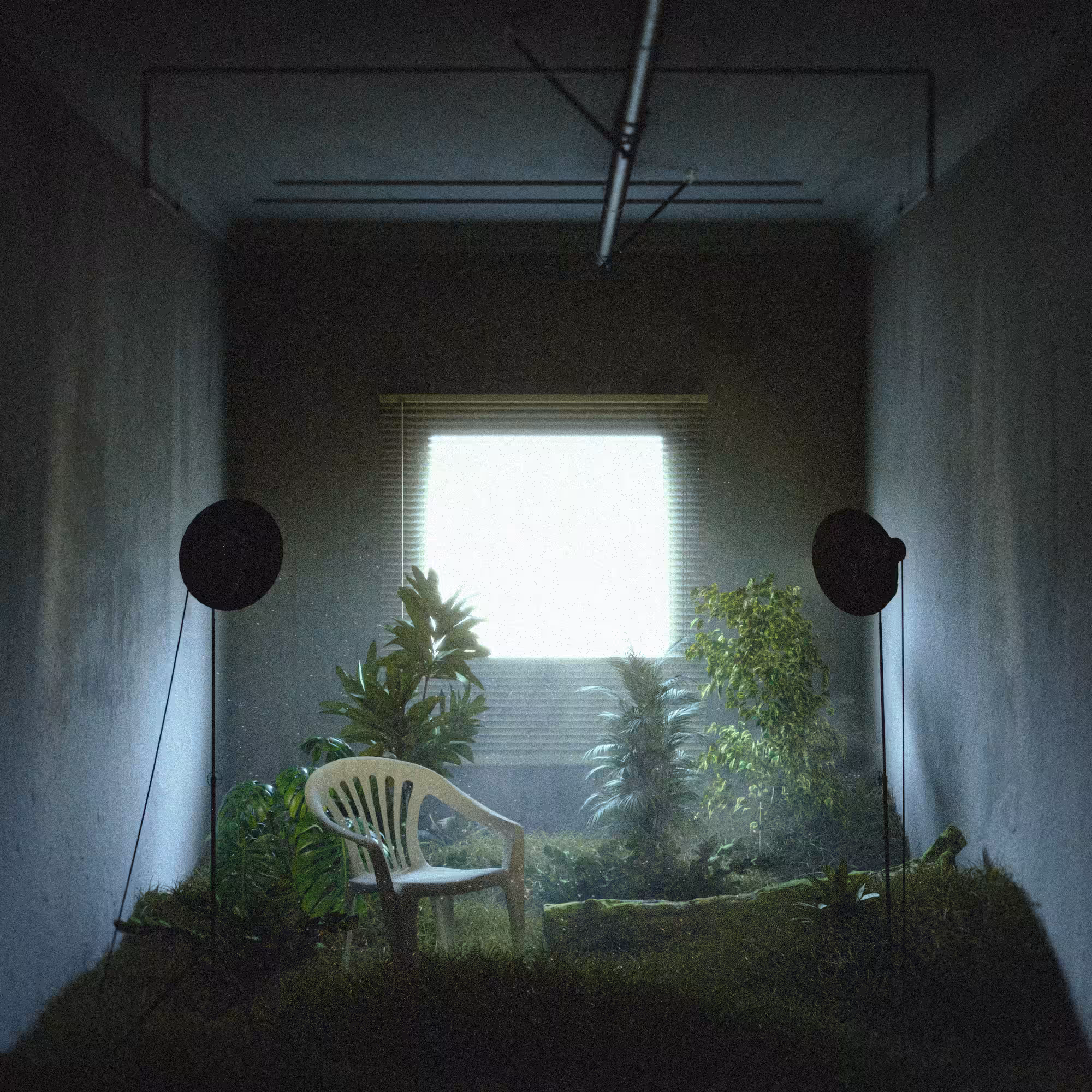 Gather Community Plant #021 - EverlastingBuilding