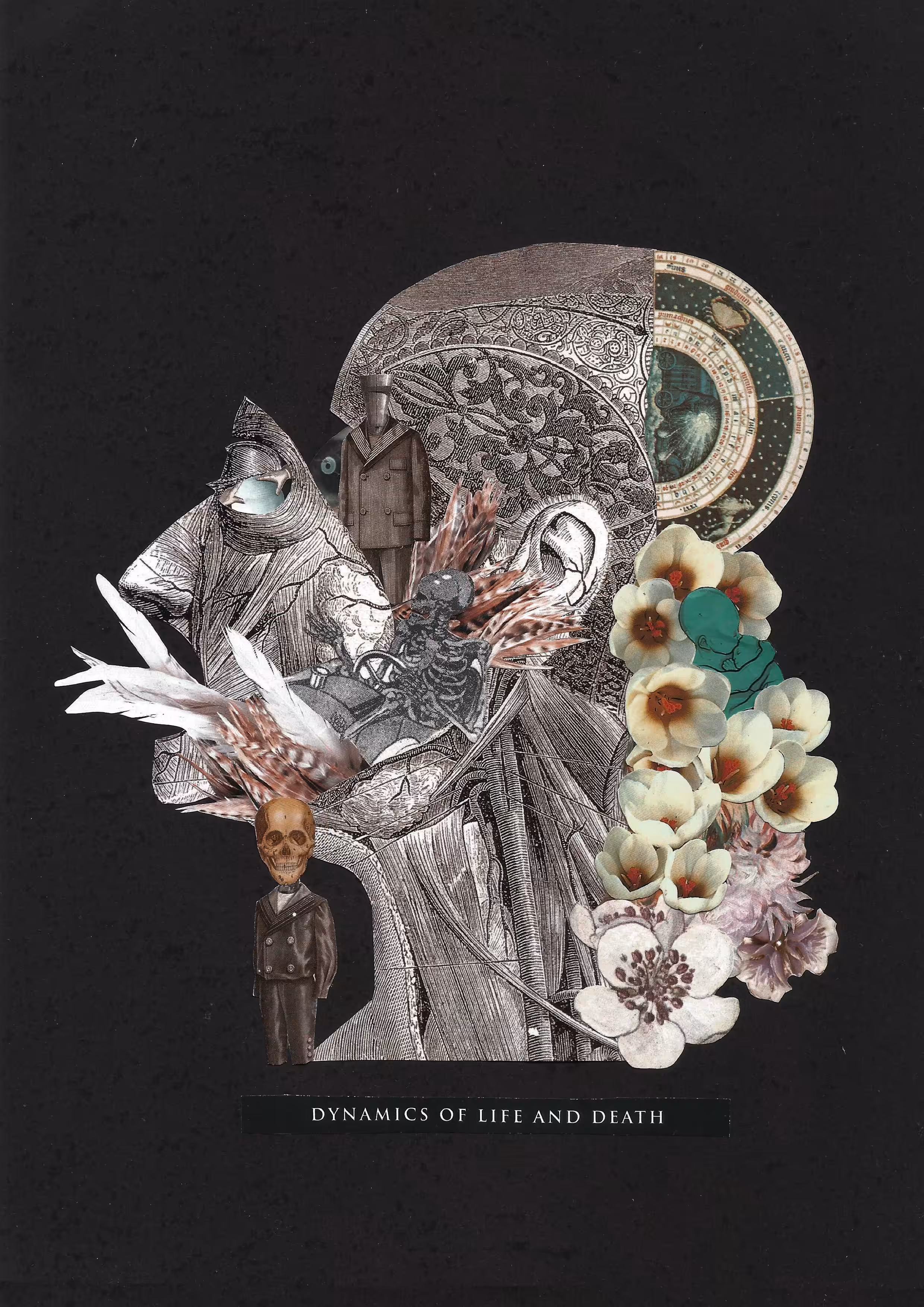 Dynamics of life and death