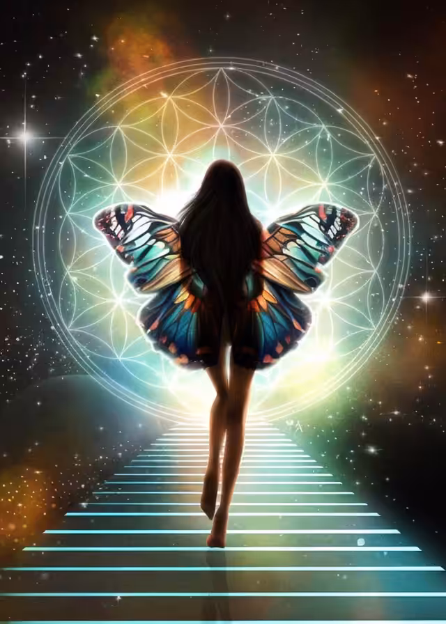 🦋Butterfly Girl🦋