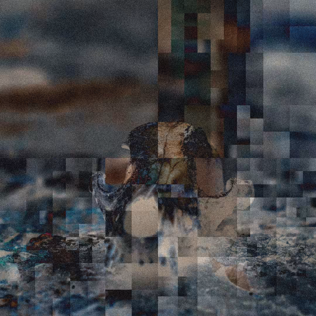 1888 - Difference II #21