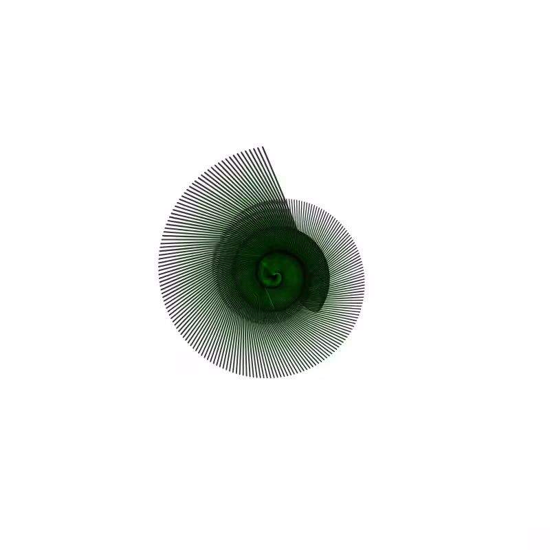 Snail Shard #18