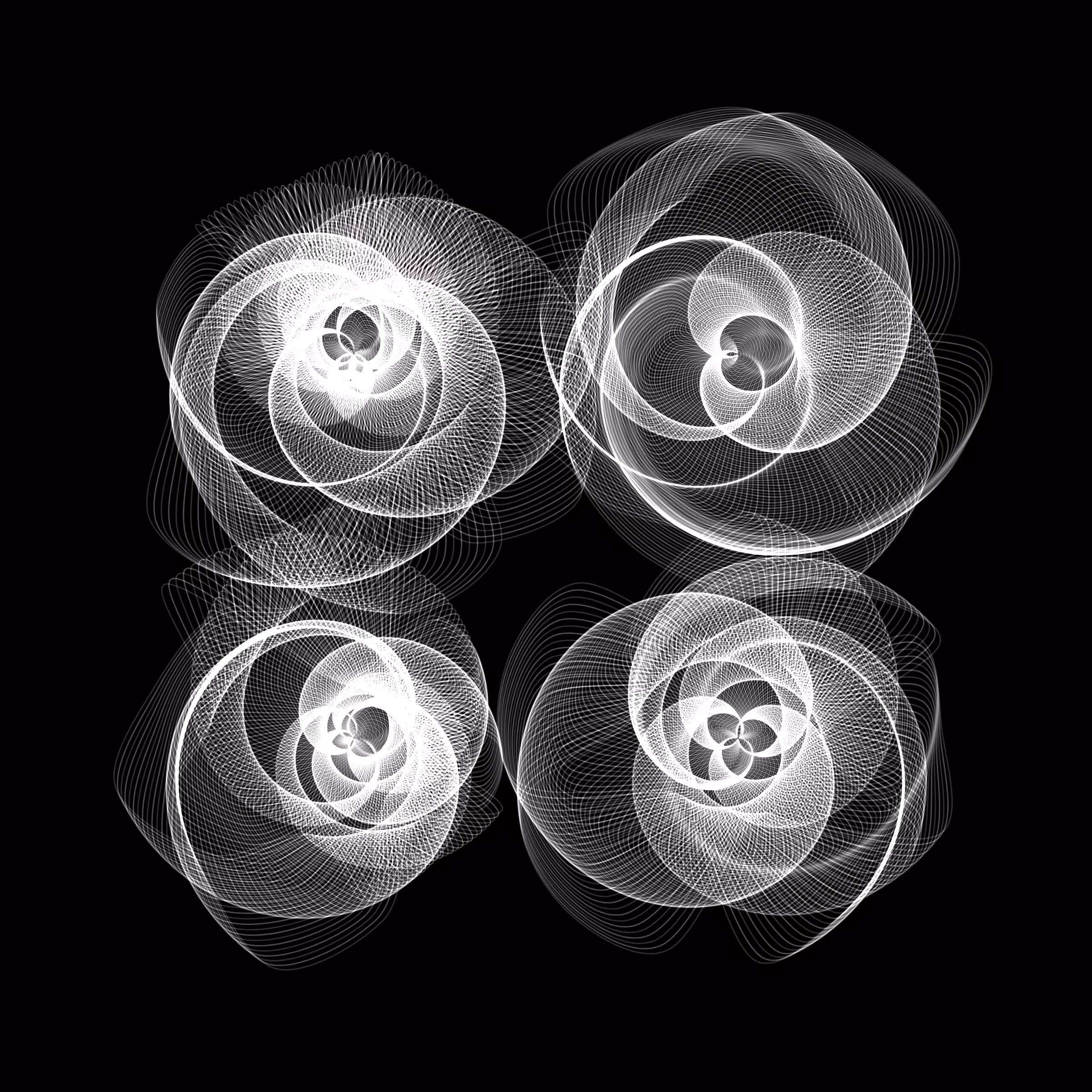 Flowers #3436