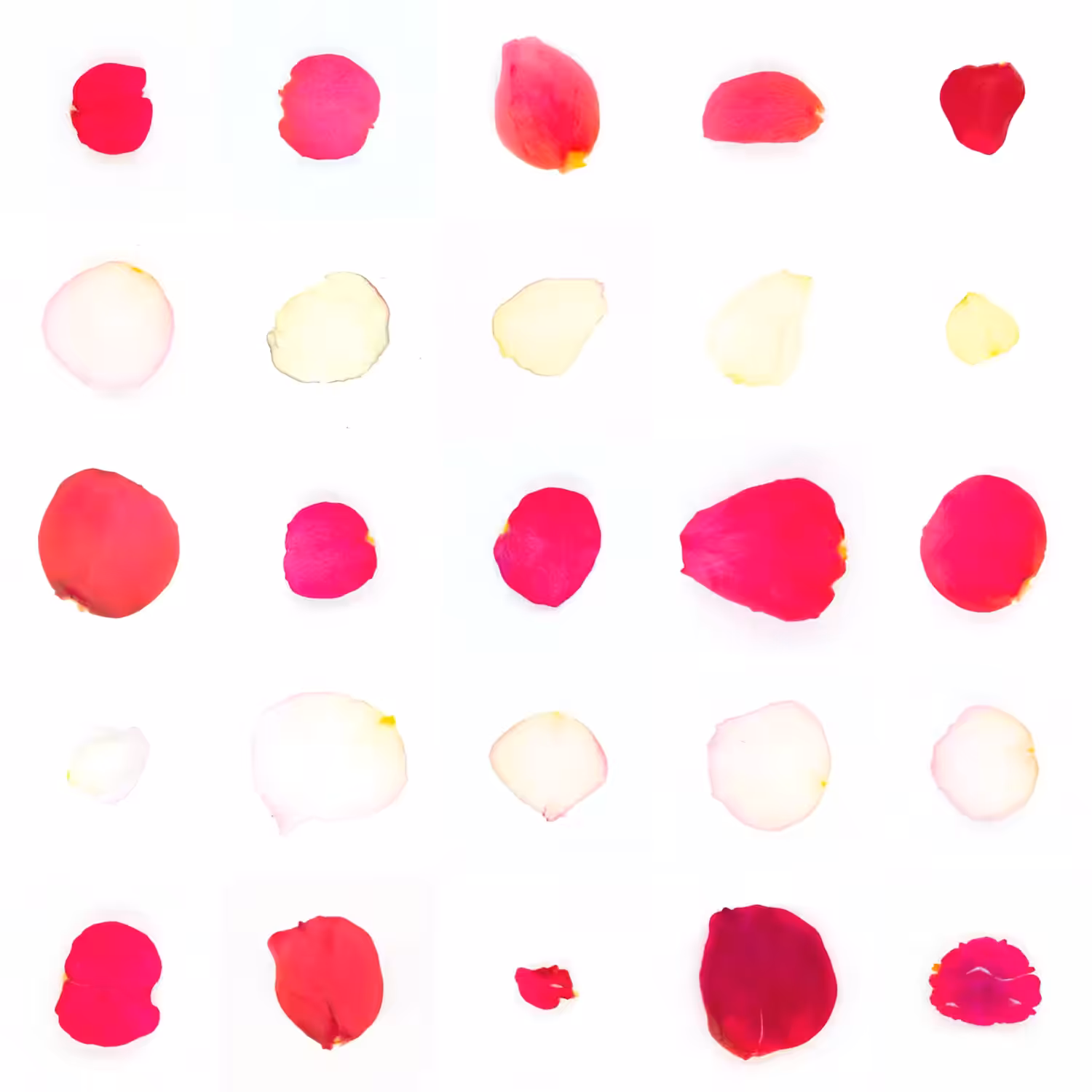 Infinite Petals 5x5#21572