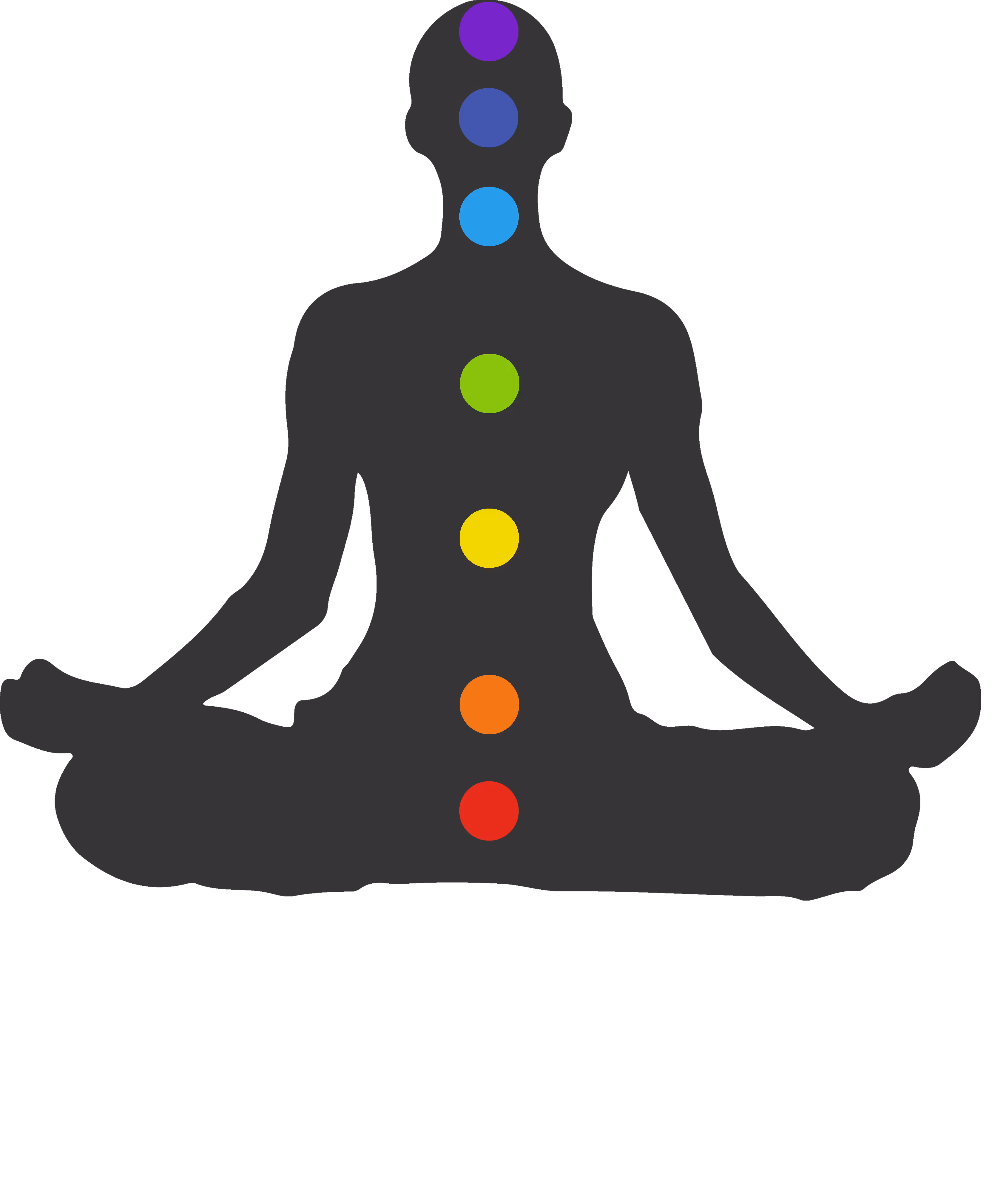 The 7 chakras
