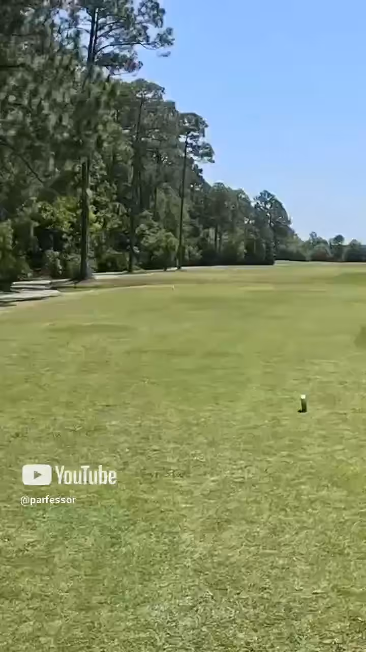 GOLF: Golf #30 - Georgia - "No Choice but Driver"